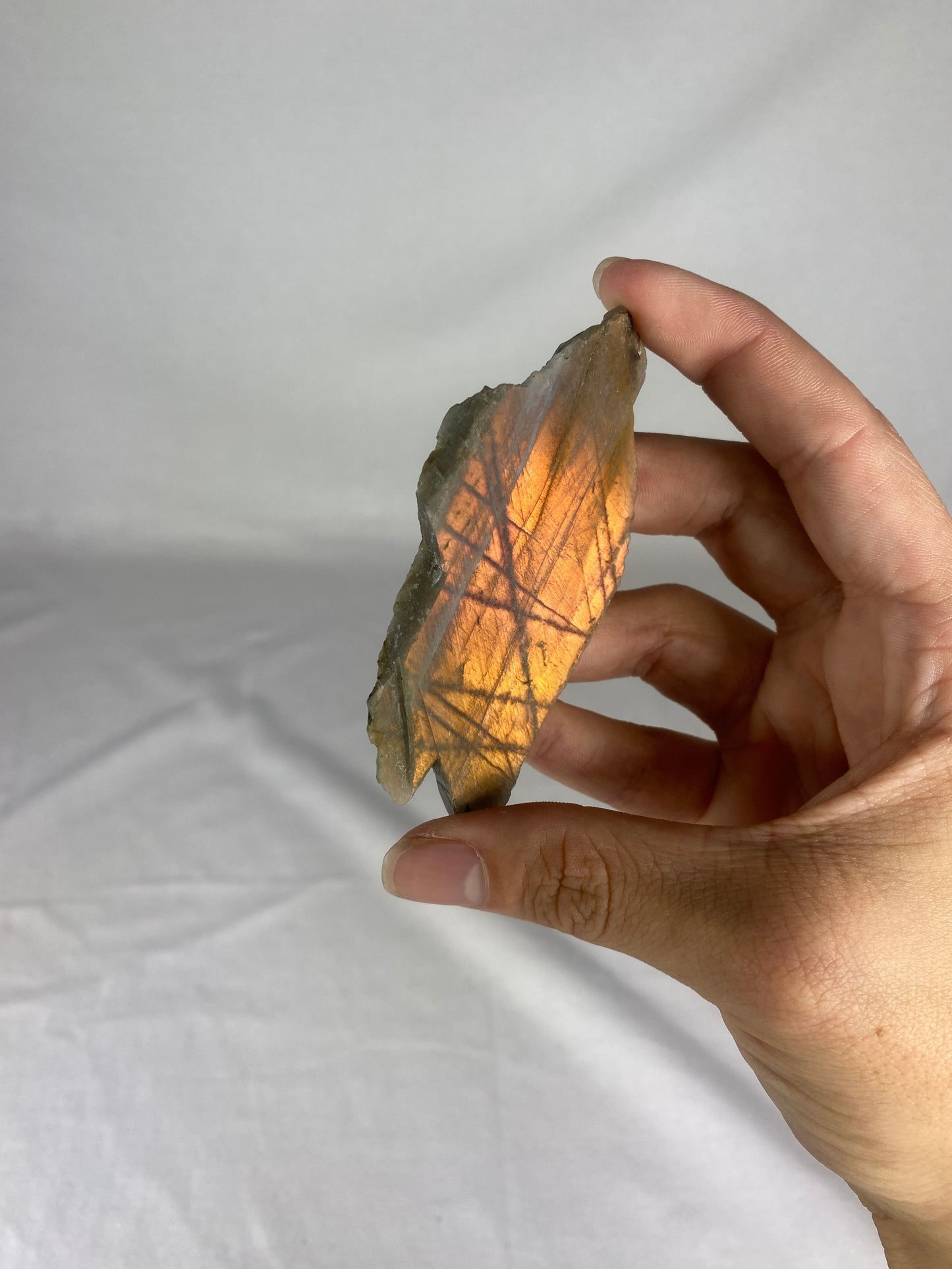 Madagascan Labradorite Slab (Q)