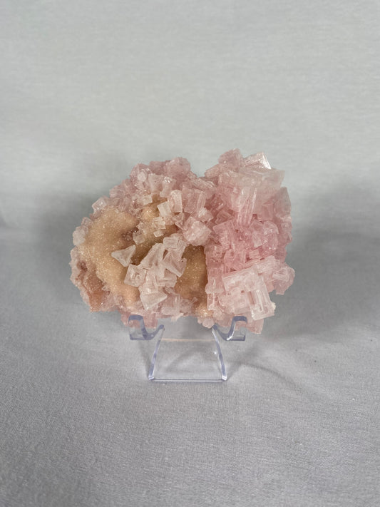 Californian Pink Halite Specimen (A)