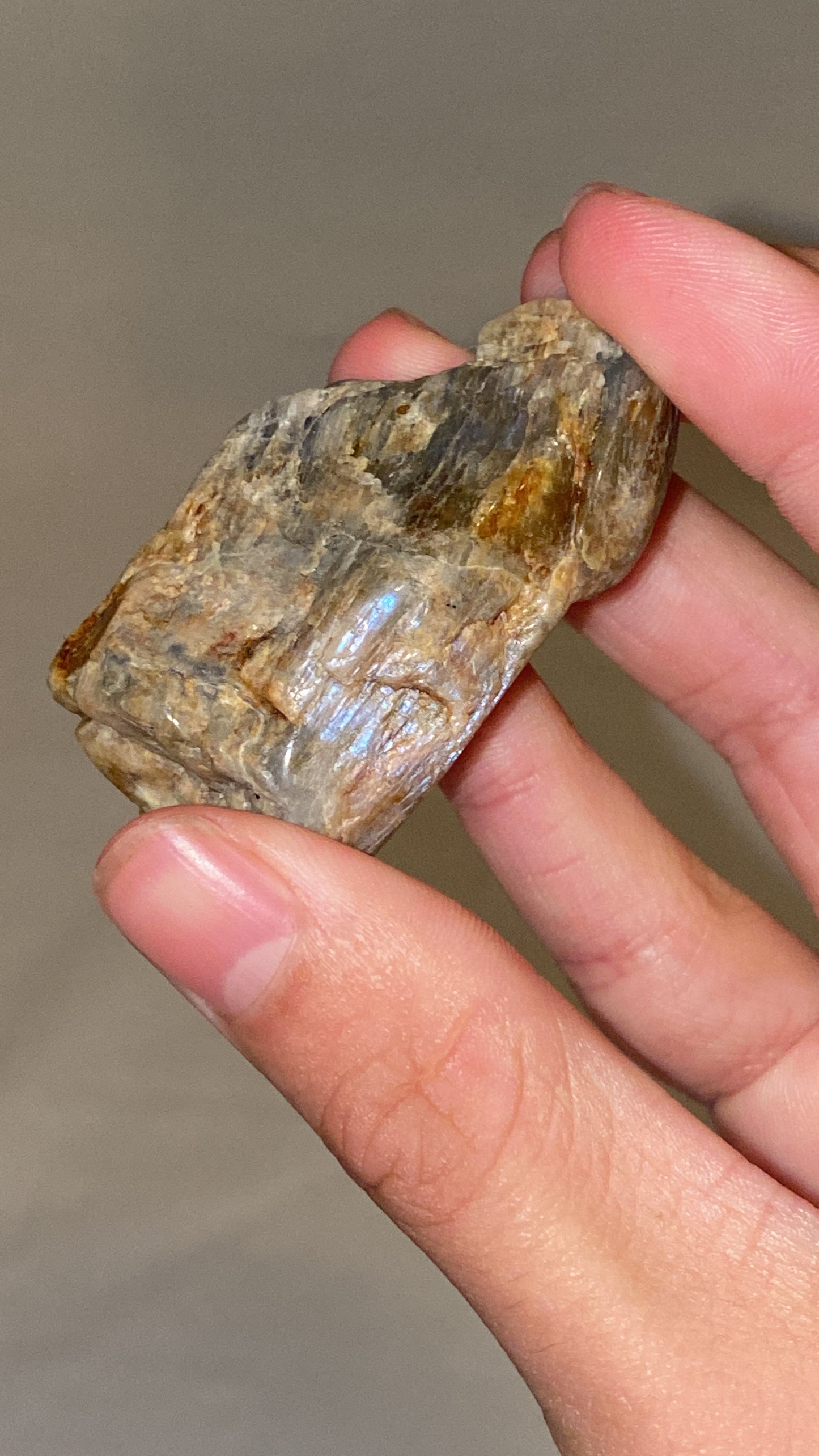 “Electric Blue” Wisconsin Moonstone Specimen (E)