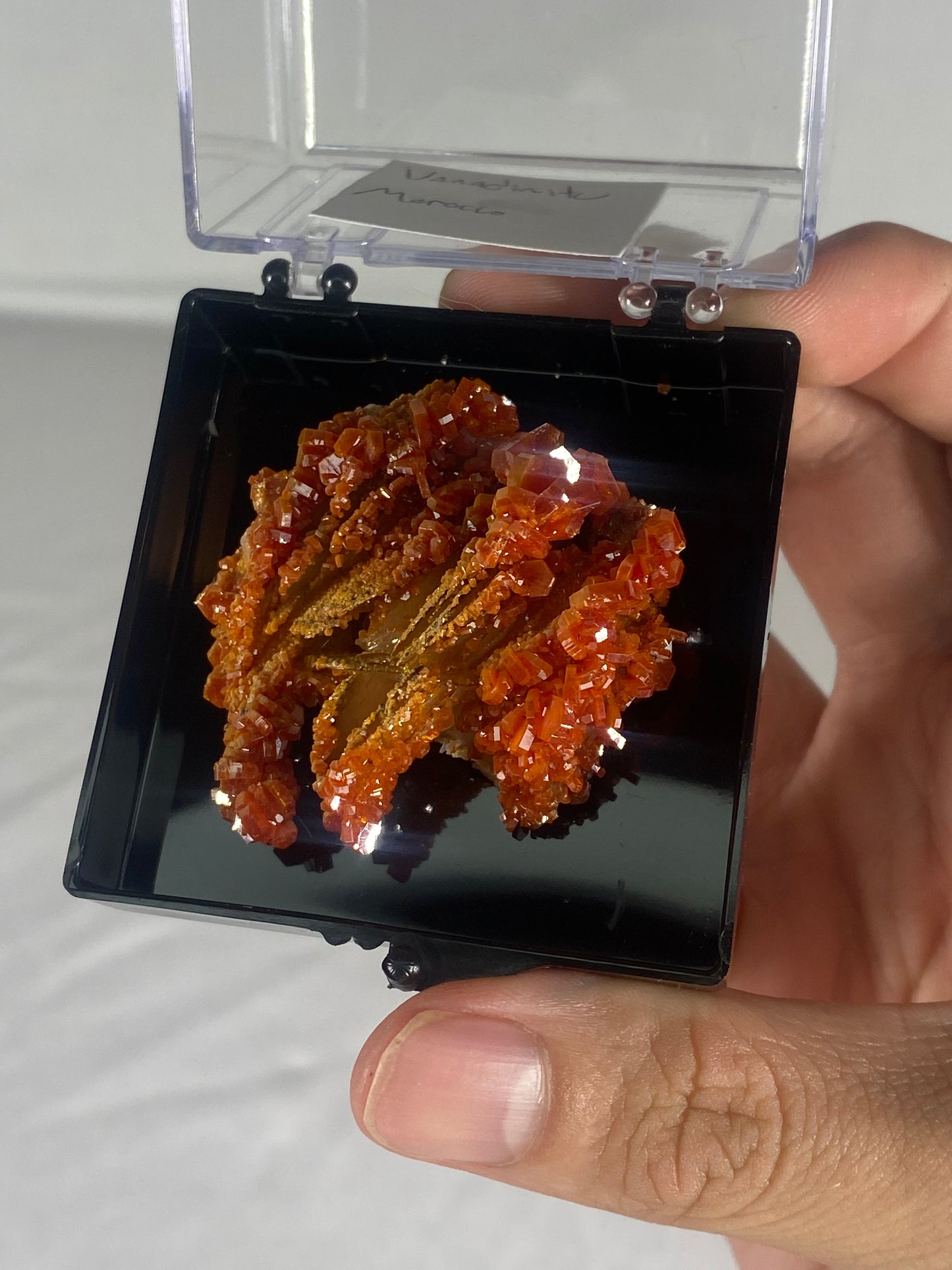 Moroccan Vanadinite Thumbnail Specimen (Medium C)