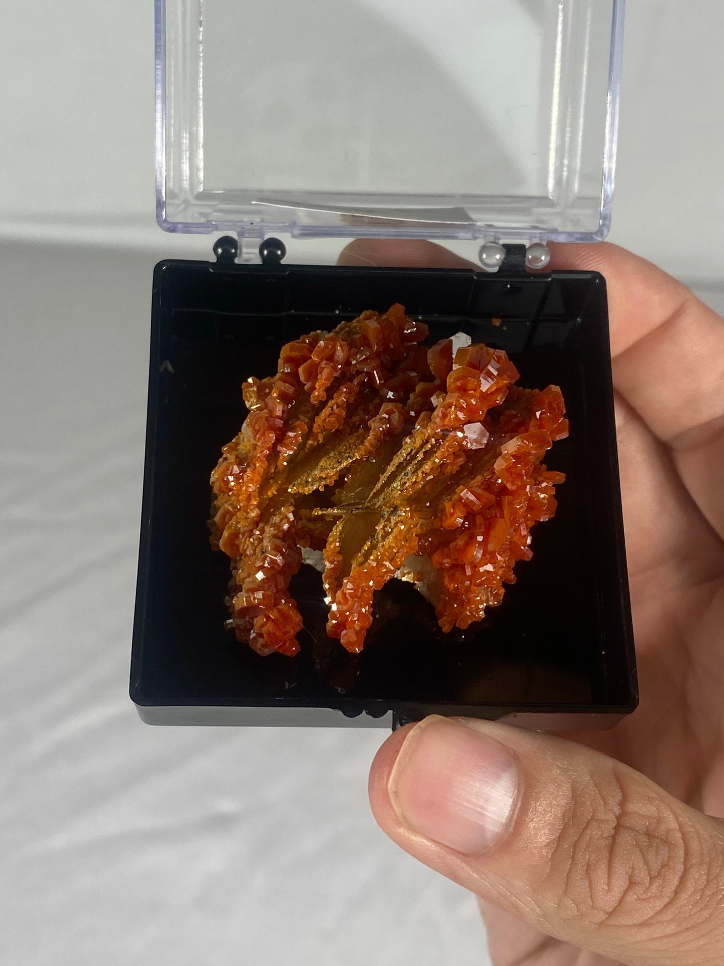 Moroccan Vanadinite Thumbnail Specimen (Medium C)