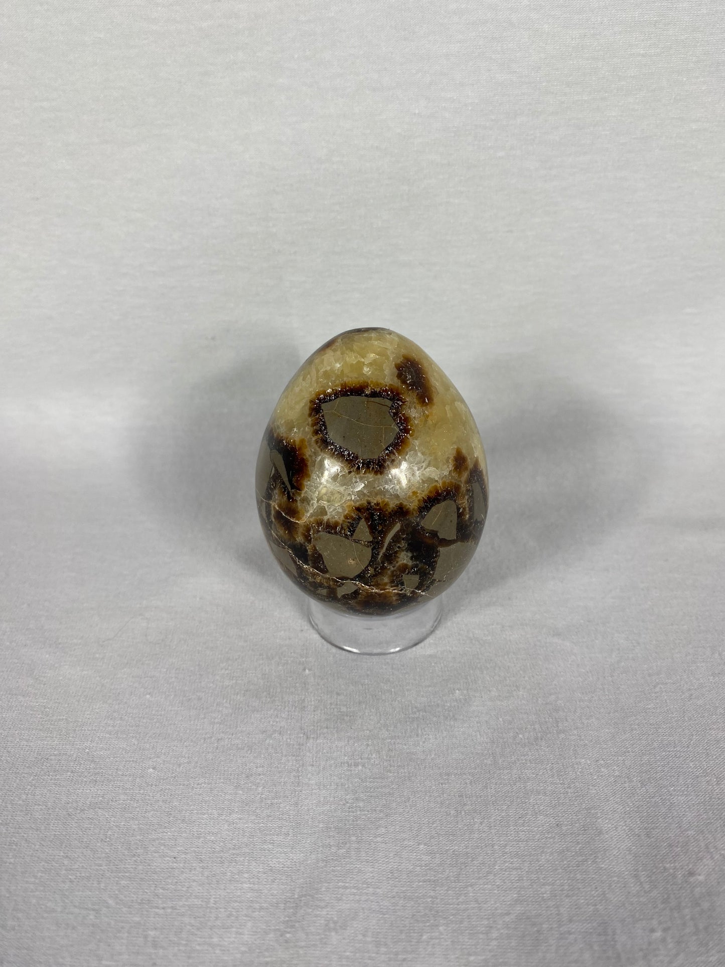 Madagascan Polished Septarian Egg (C)