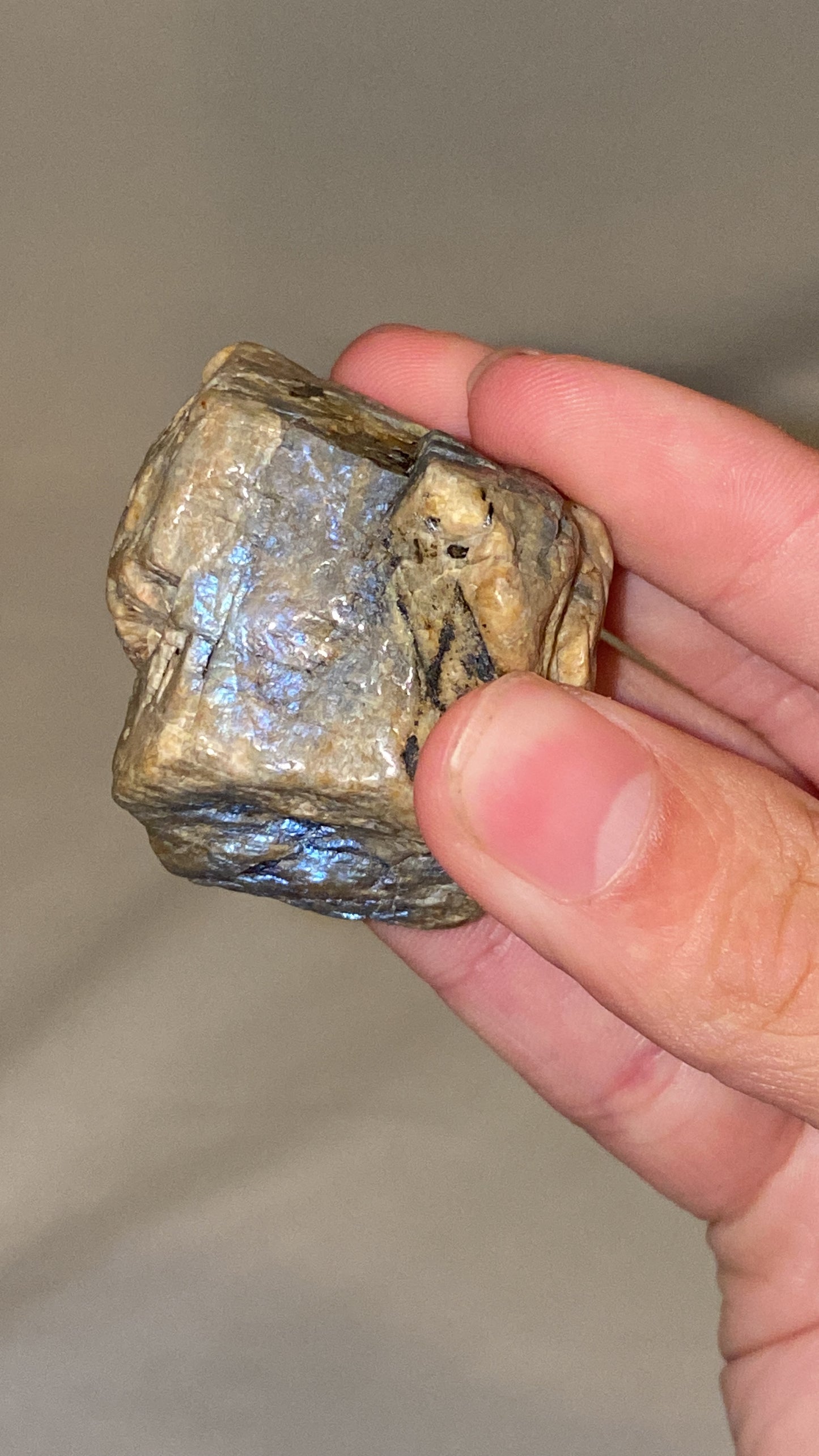 “Electric Blue” Wisconsin Moonstone Specimen (H)