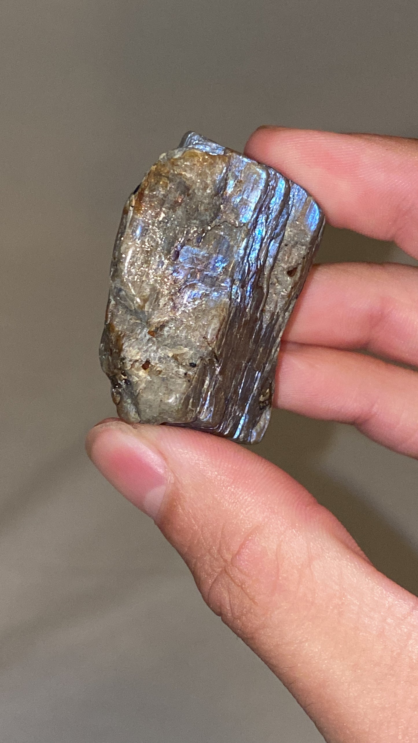 “Electric Blue” Wisconsin Moonstone Specimen (L)