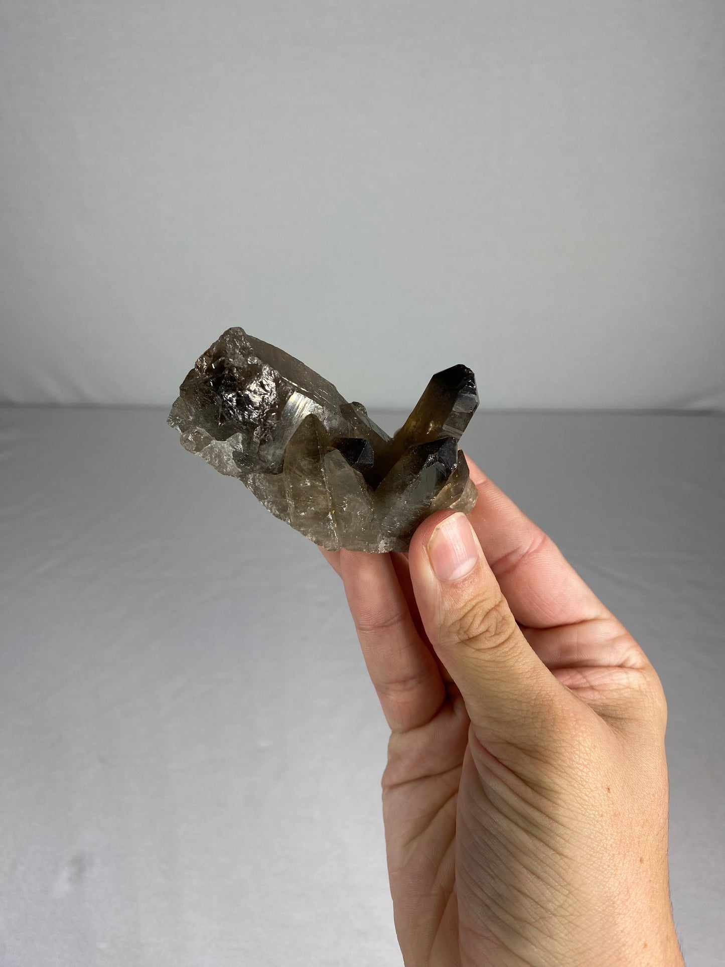 Brazilian Smokey Quartz Specimen (D)