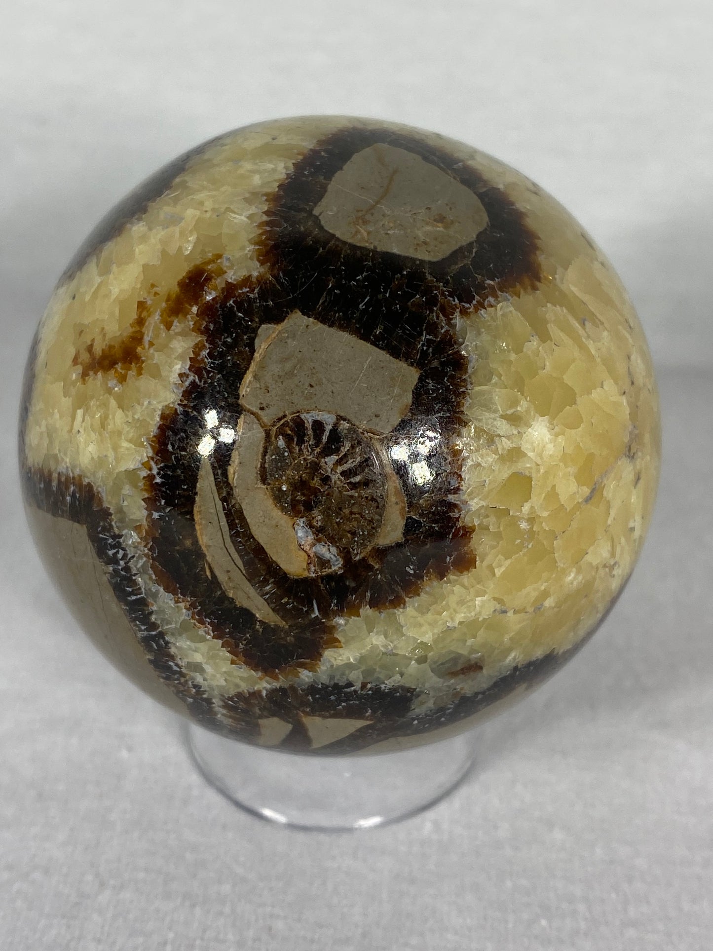 Madagascan Polished Septarian Sphere (Q)