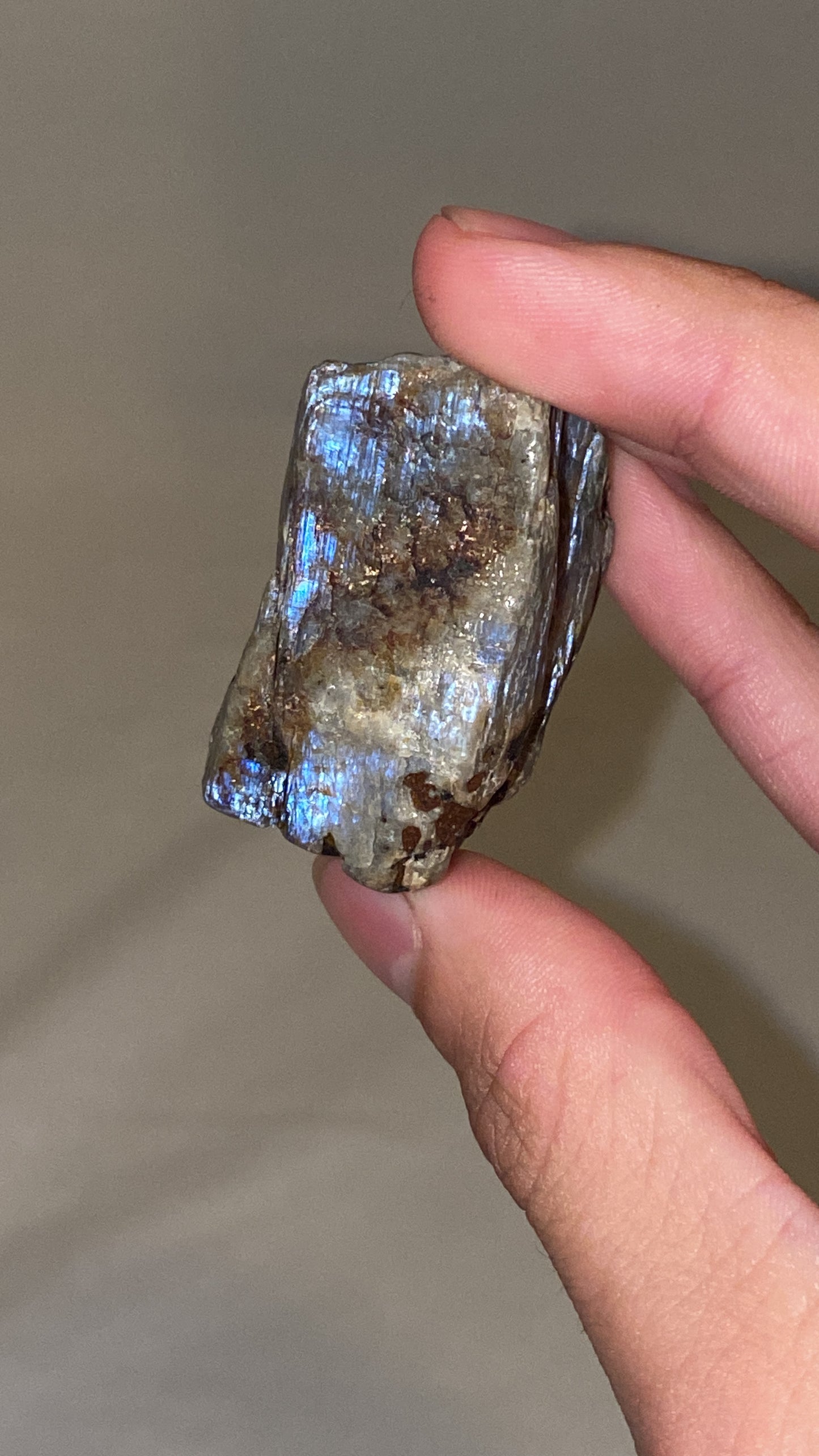 “Electric Blue” Wisconsin Moonstone Specimen (L)