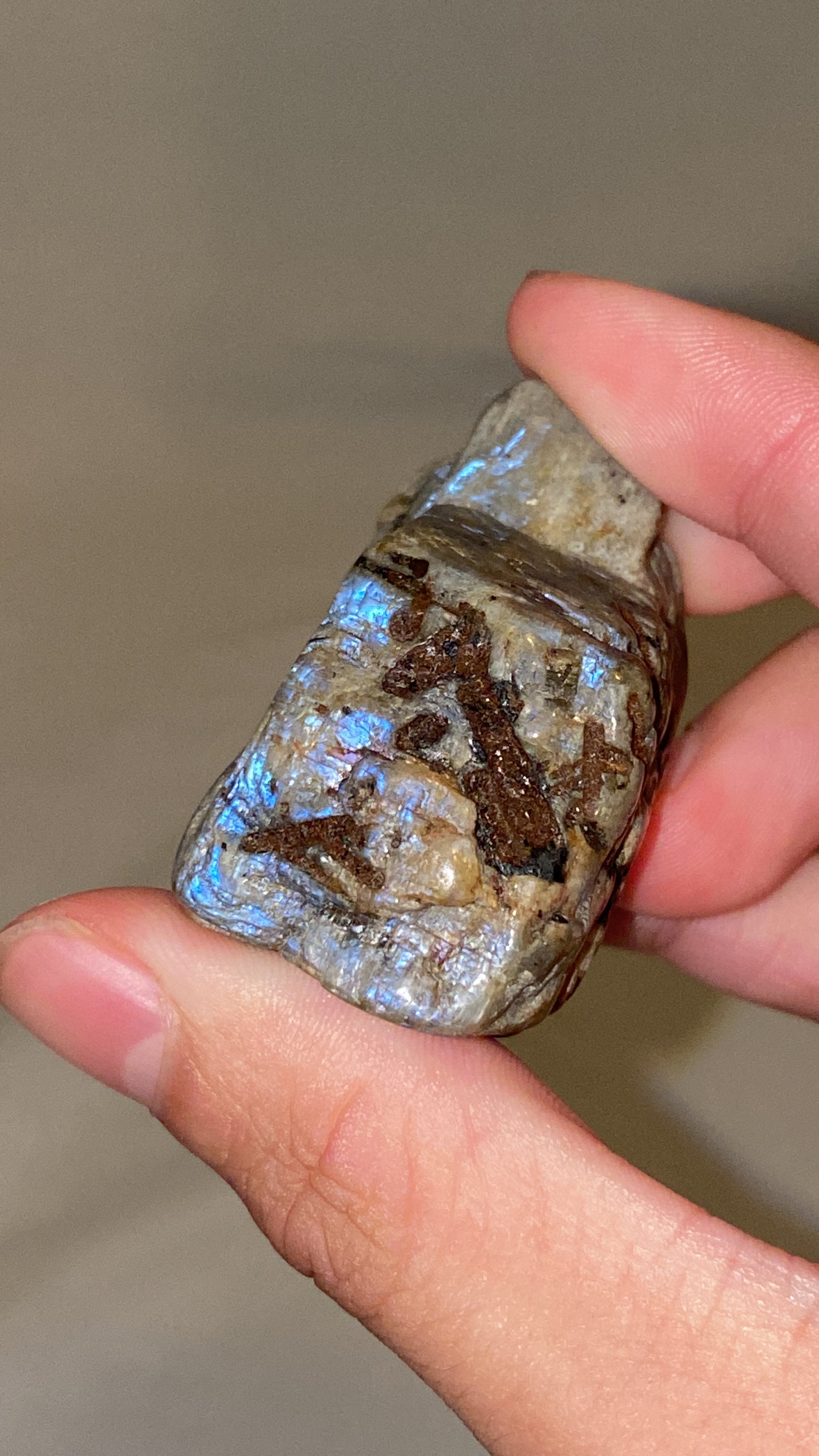“Electric Blue” Wisconsin Moonstone Specimen (I)