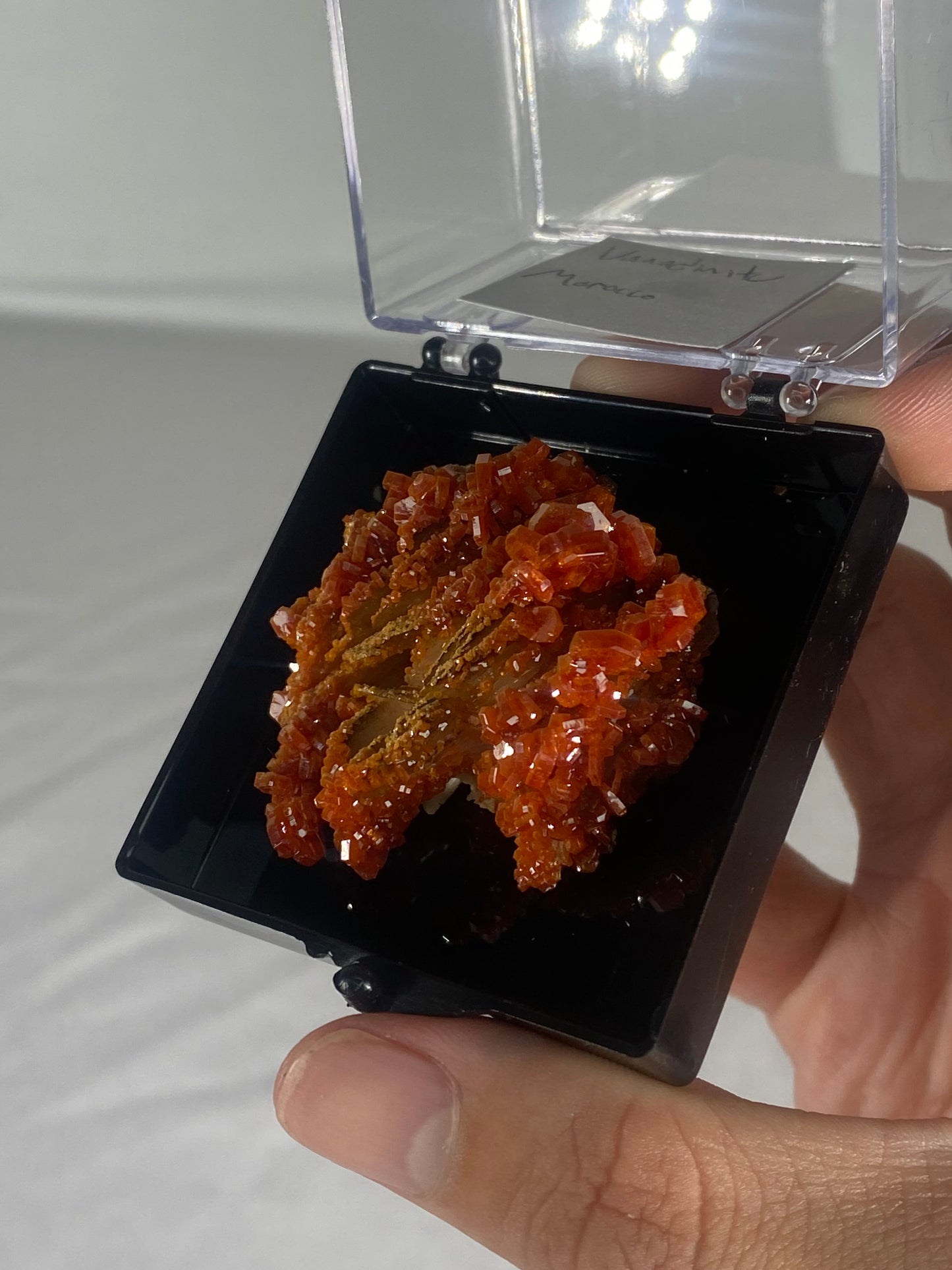 Moroccan Vanadinite Thumbnail Specimen (Medium C)