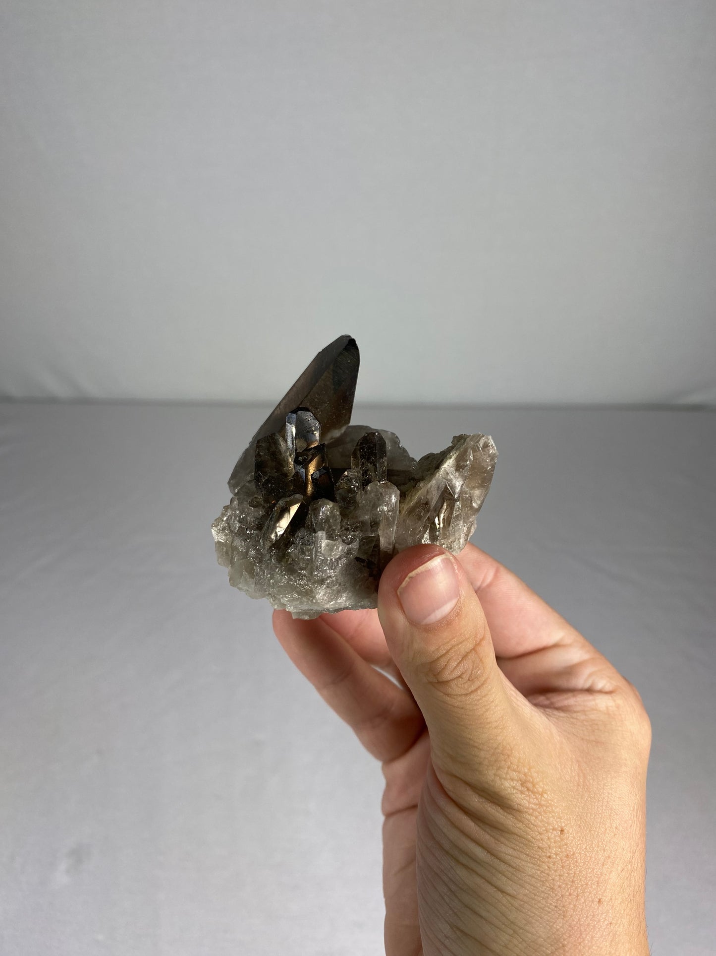 Brazilian Smokey Quartz Specimen (F)