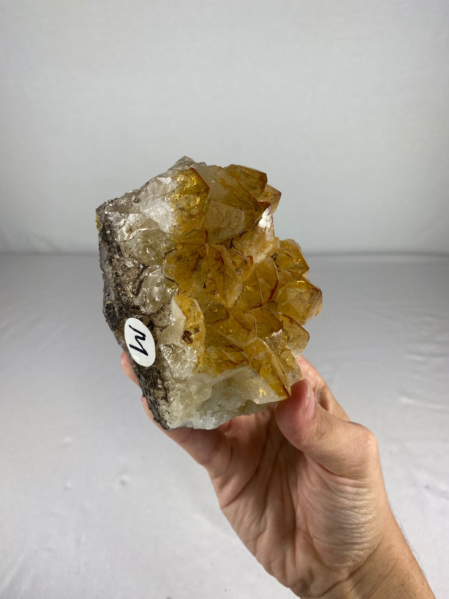 Brazilian Citrine Specimen (M)