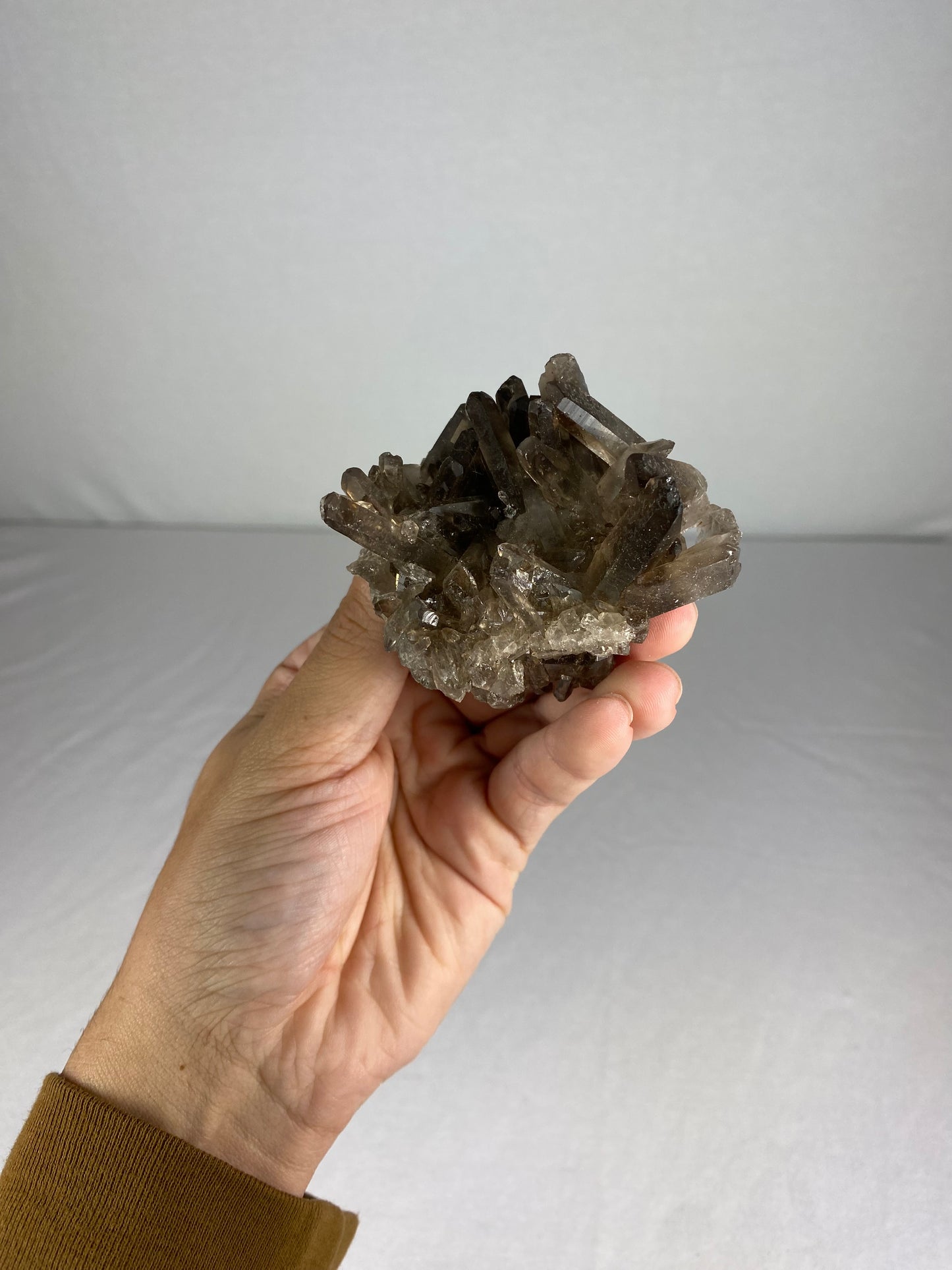Brazilian Smokey Quartz Specimen (N)