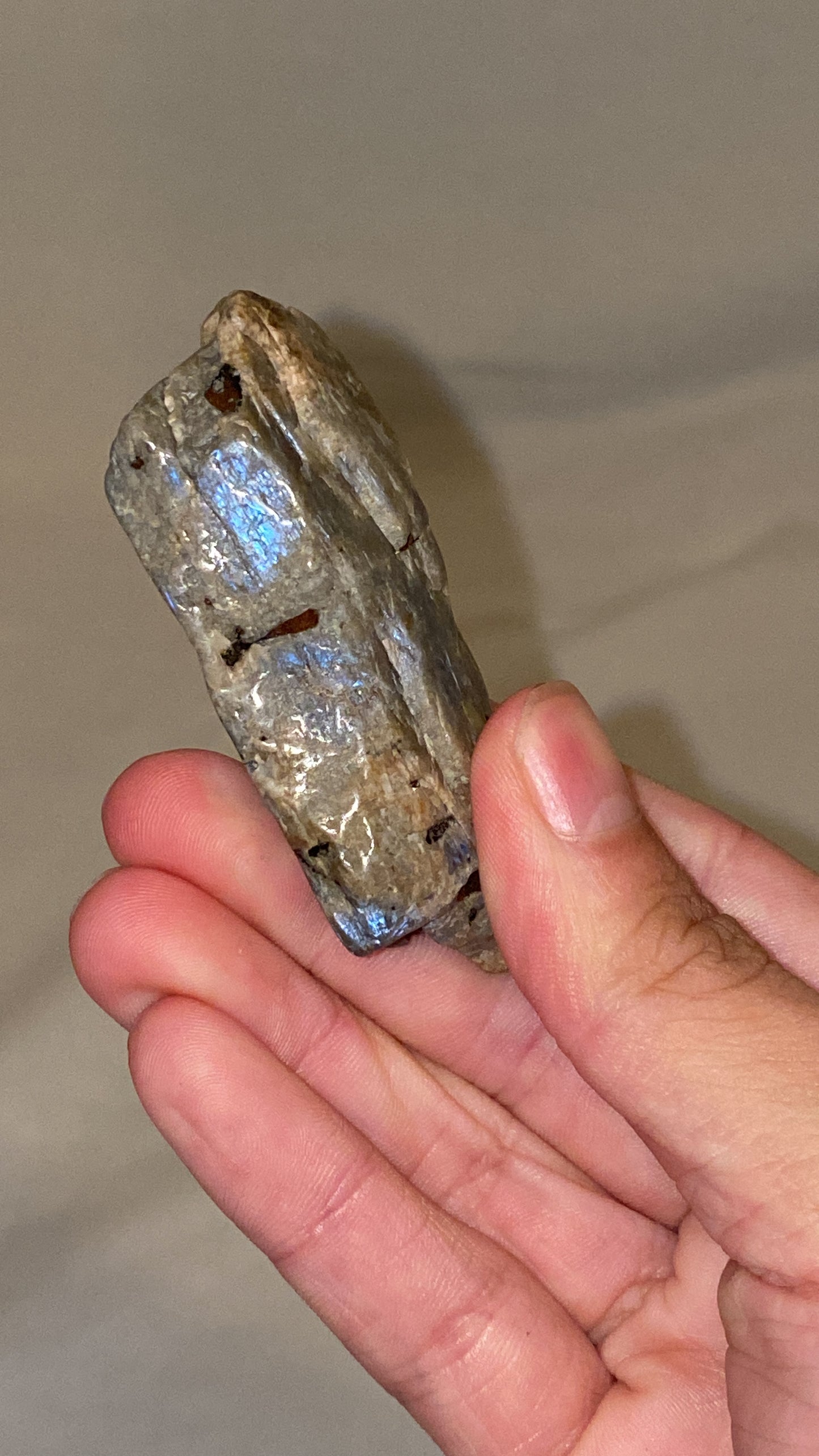 “Electric Blue” Wisconsin Moonstone Specimen (J)