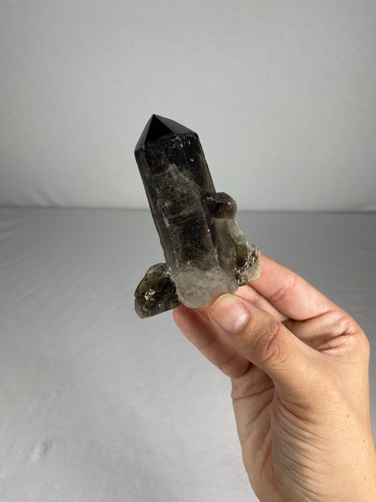 Brazilian Smokey Quartz Specimen (M)