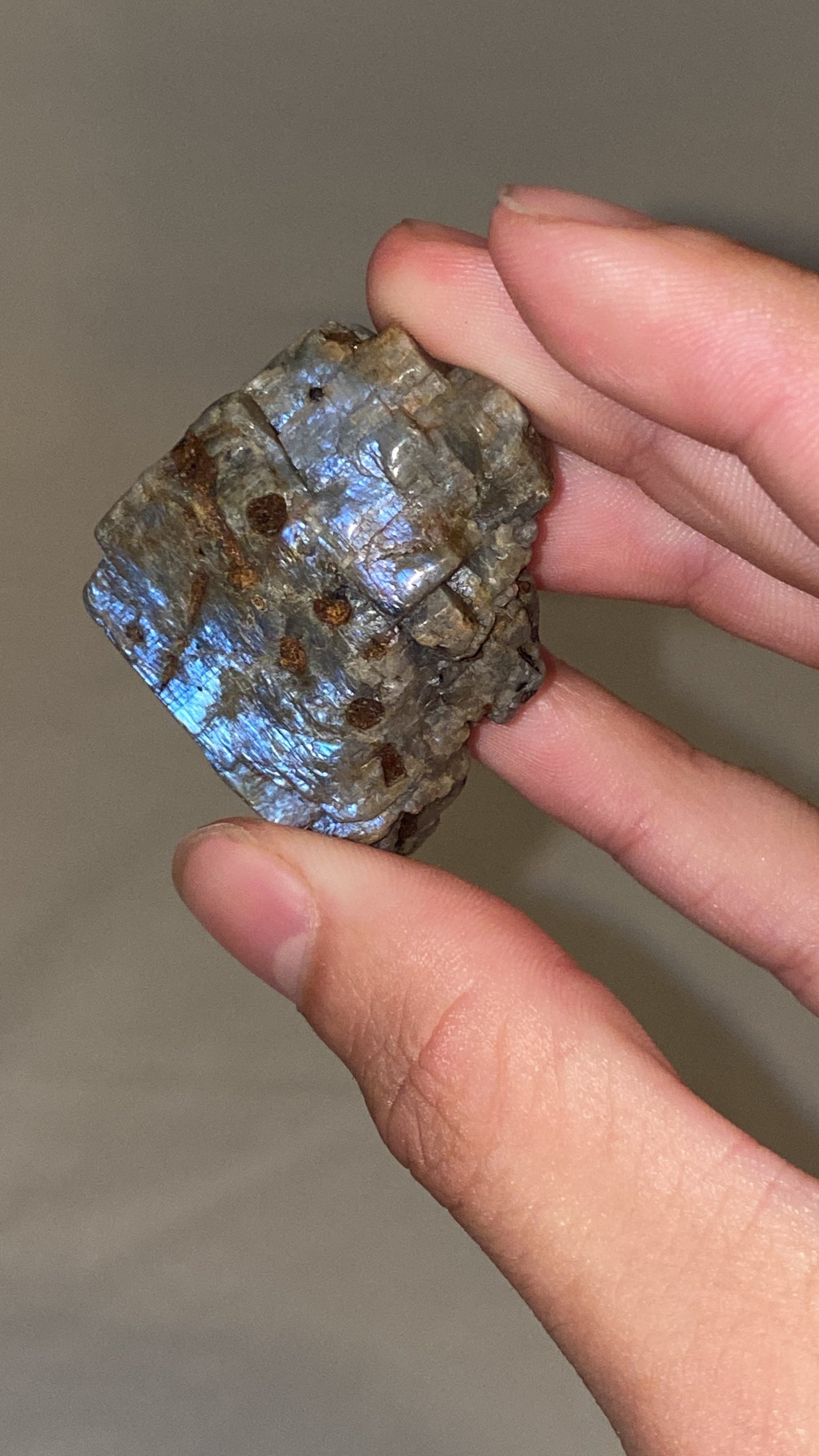 “Electric Blue” Wisconsin Moonstone Specimen (B)
