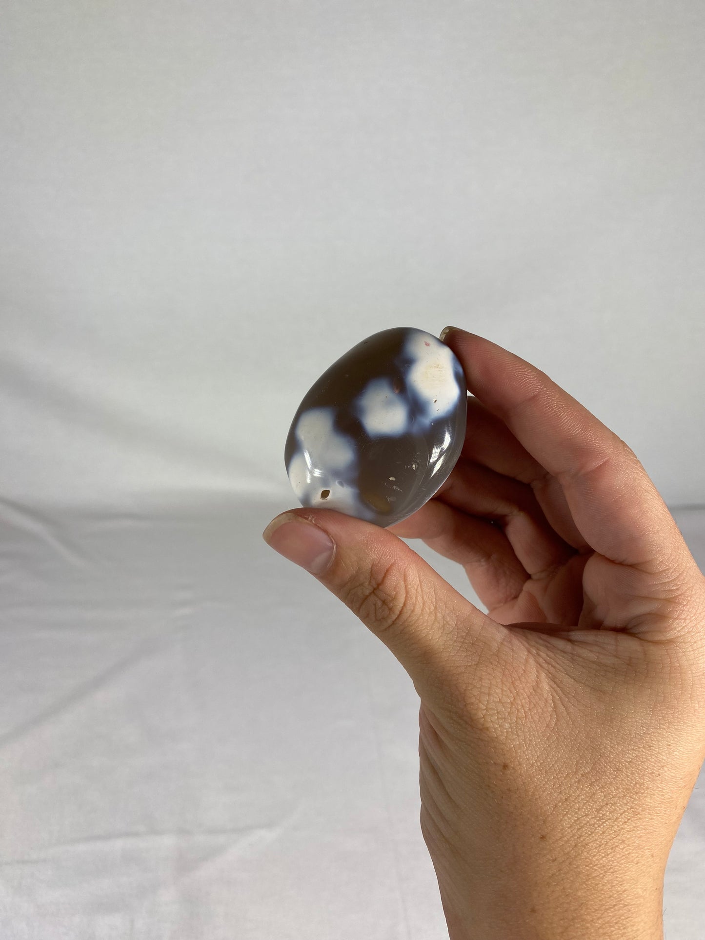 Madagascan Polished Orca Agate Palm Stone (D)