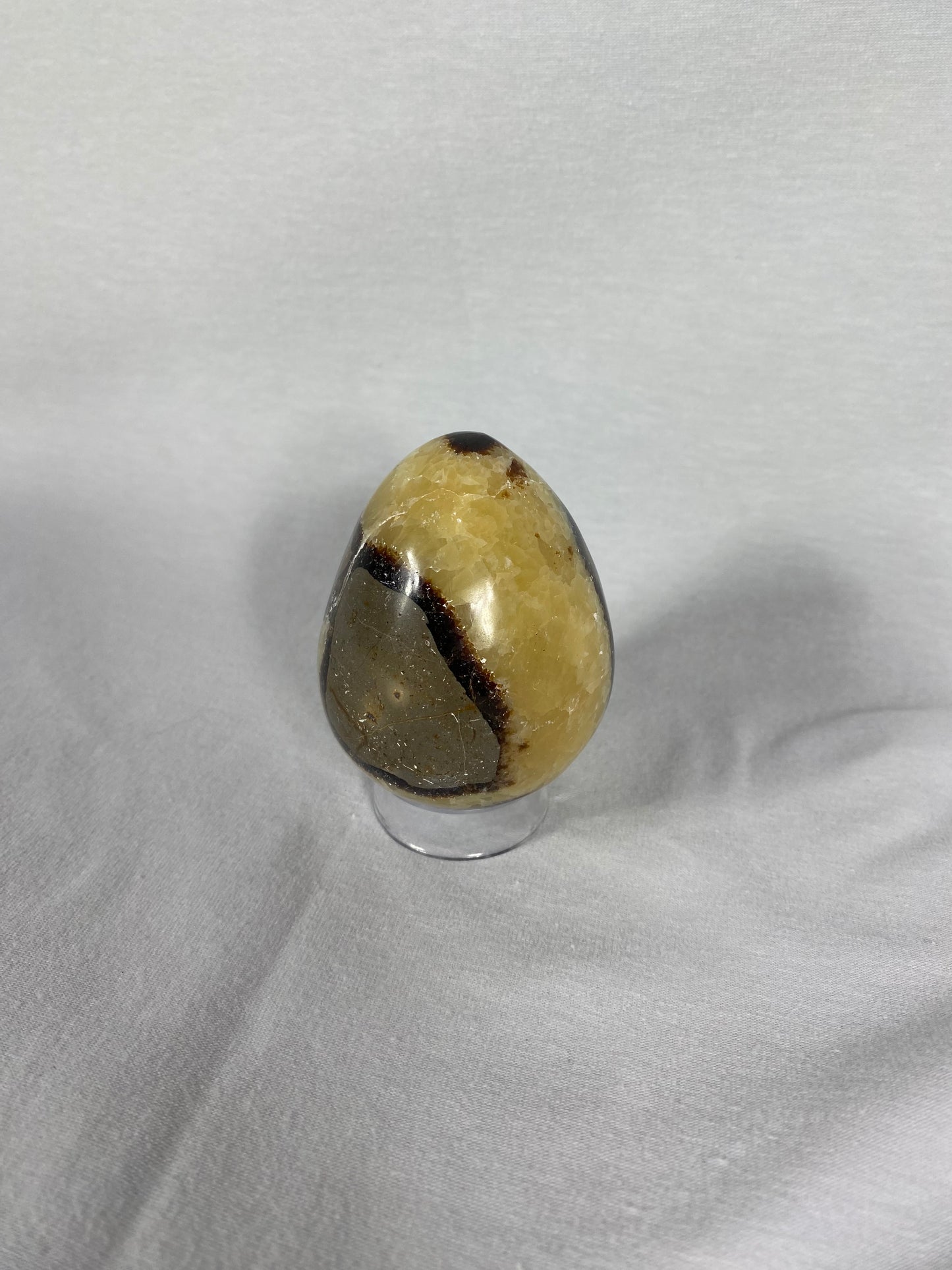 Madagascan Polished Septarian Egg (D)