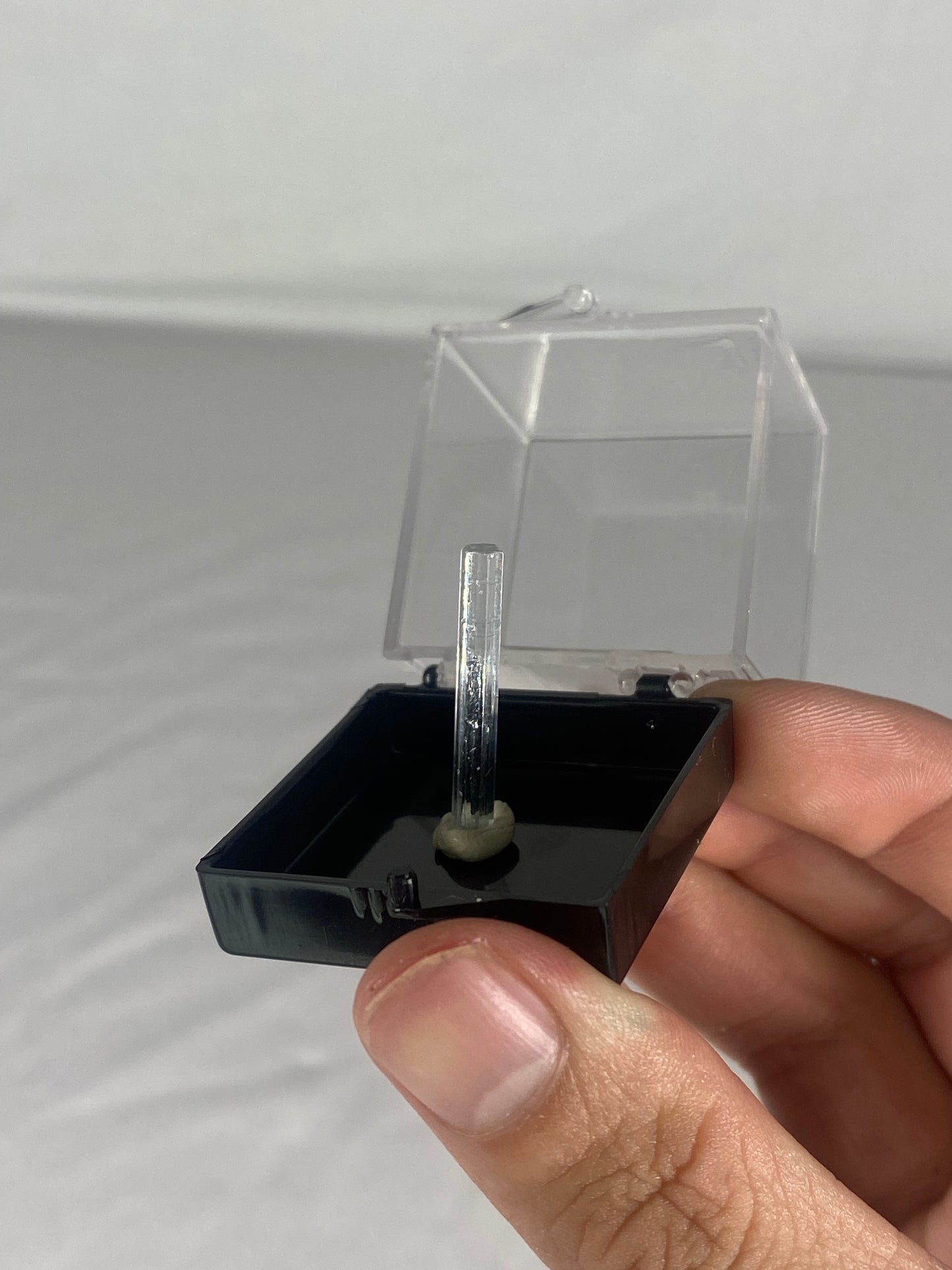 Pakistani Aquamarine Thumbnail Specimen (U)