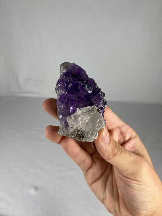 Brazilian Amethyst Specimen (N)