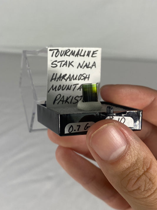 Pakistani Green Tourmaline Thumbnail Specimen (Pre-Done H)