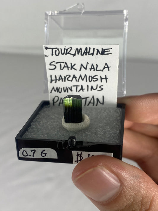 Pakistani Green Tourmaline Thumbnail Specimen (Pre-Done I)