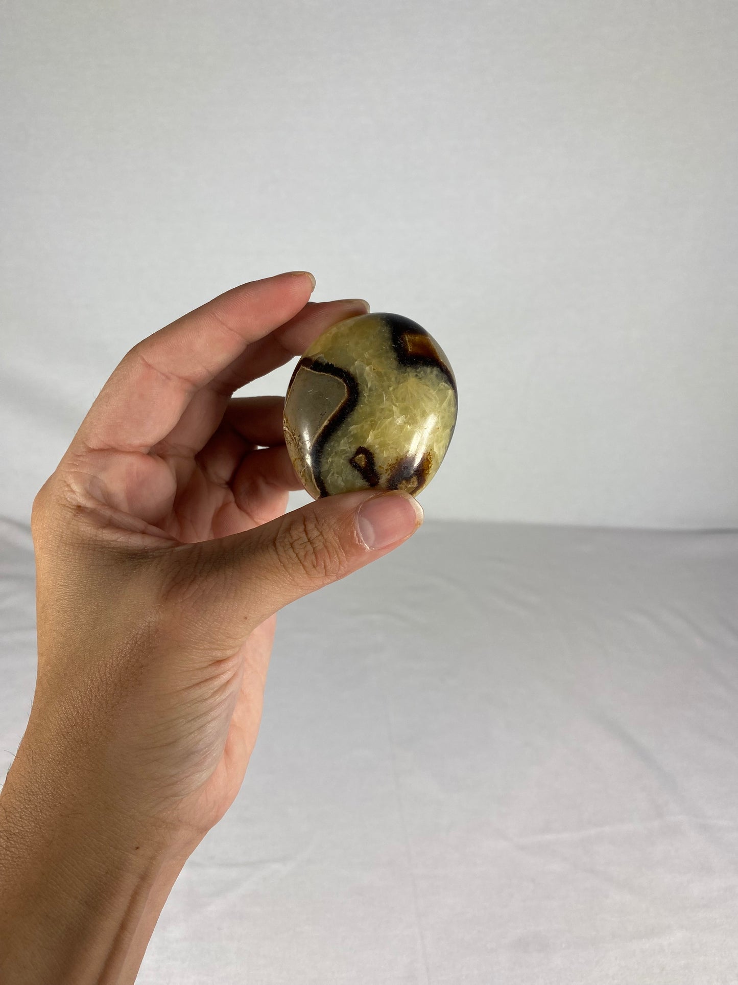Madagascan Polished Septarian Palm Stone (G)