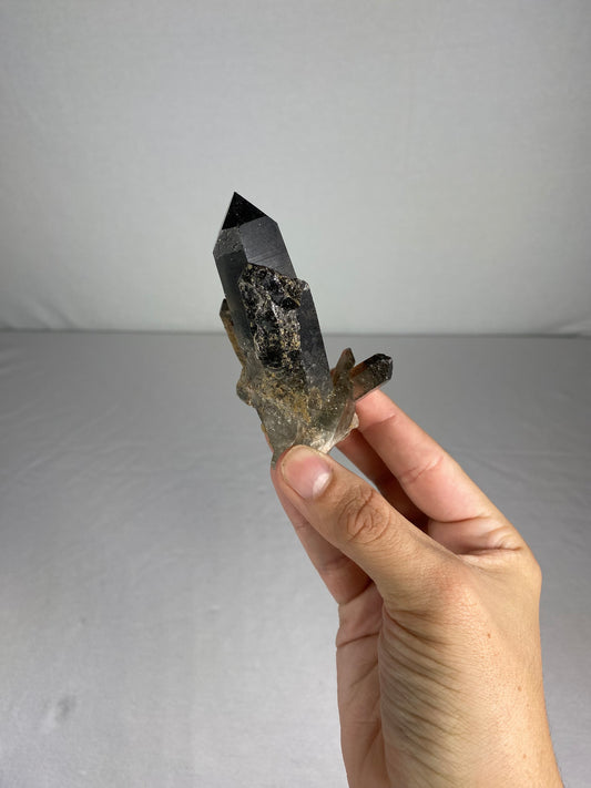 Brazilian Smokey Quartz Specimen (J)