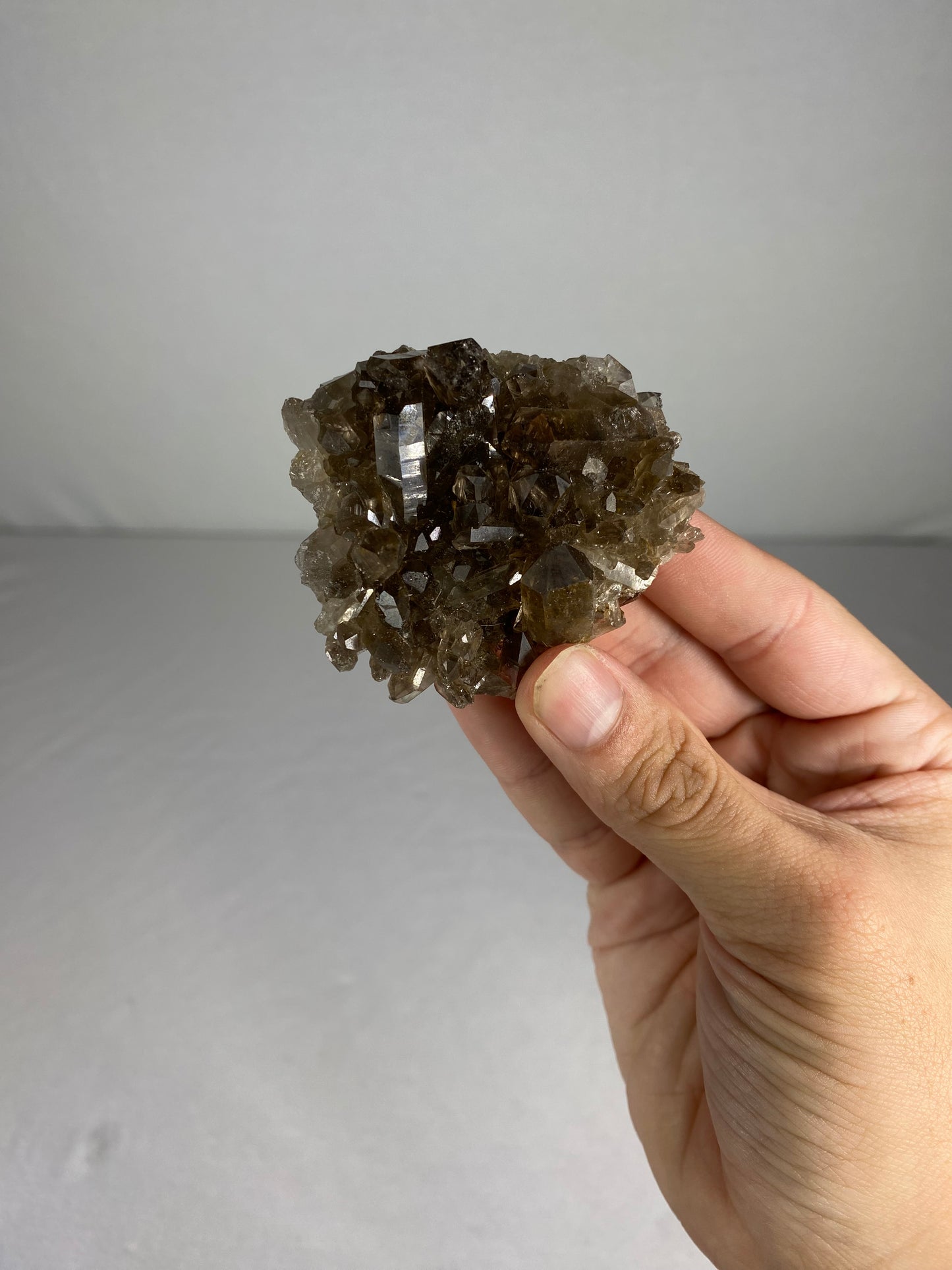 Brazilian Smokey Quartz Specimen (G)