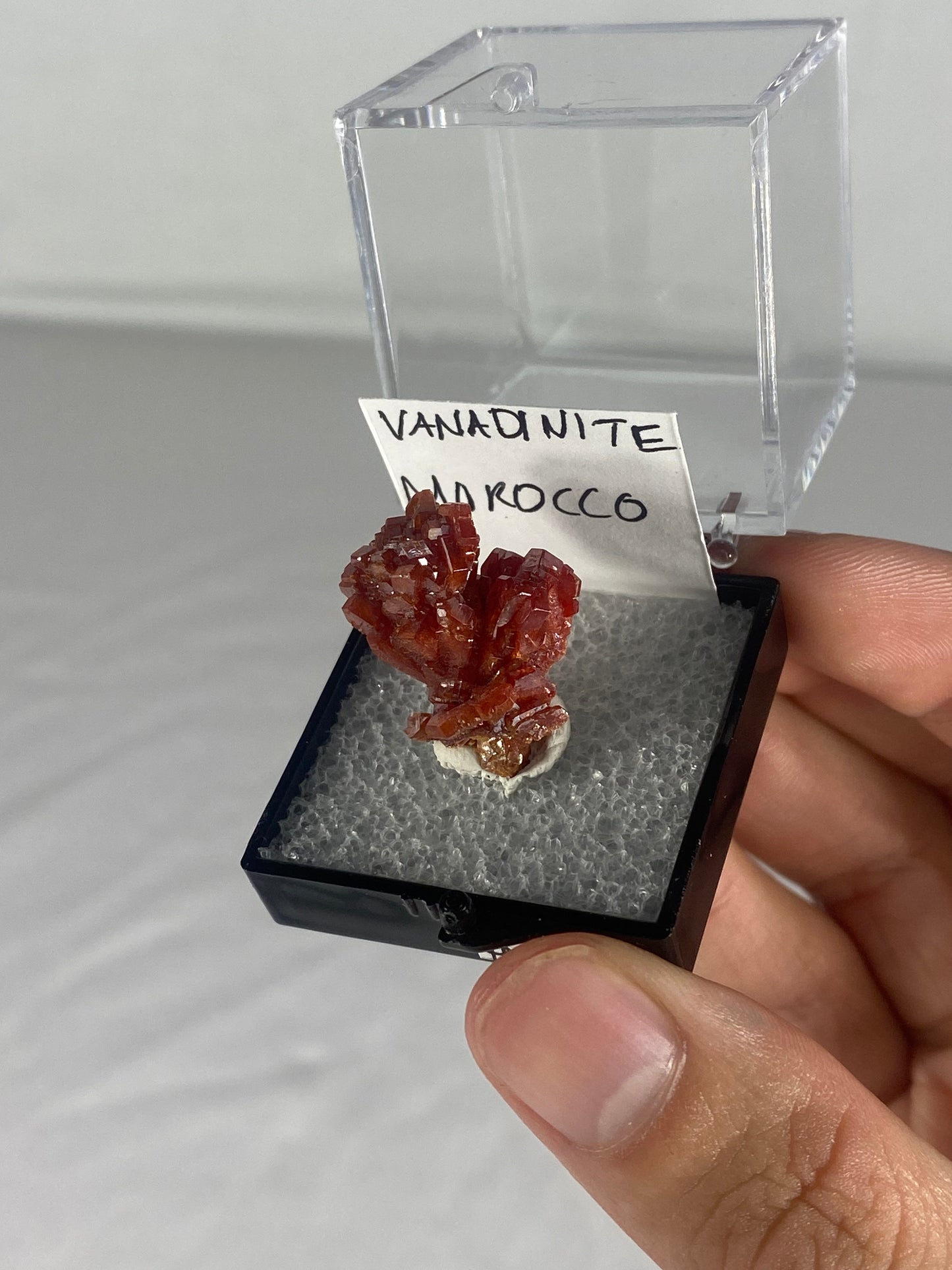 Moroccan Vanadinite Thumbnail Specimen (Pre-Done E)