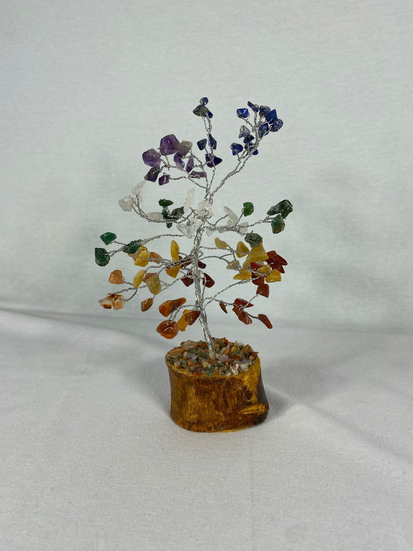 Indian Chakra Tree (MYSTERY)