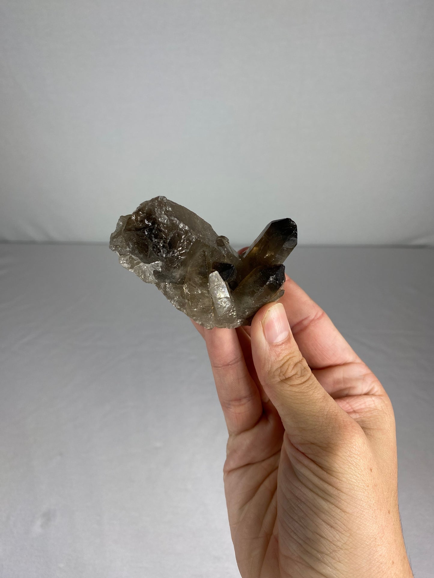 Brazilian Smokey Quartz Specimen (D)