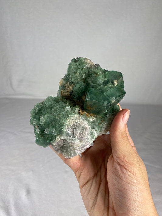 Madagascan Cubic Green Fluorite Specimen (E)