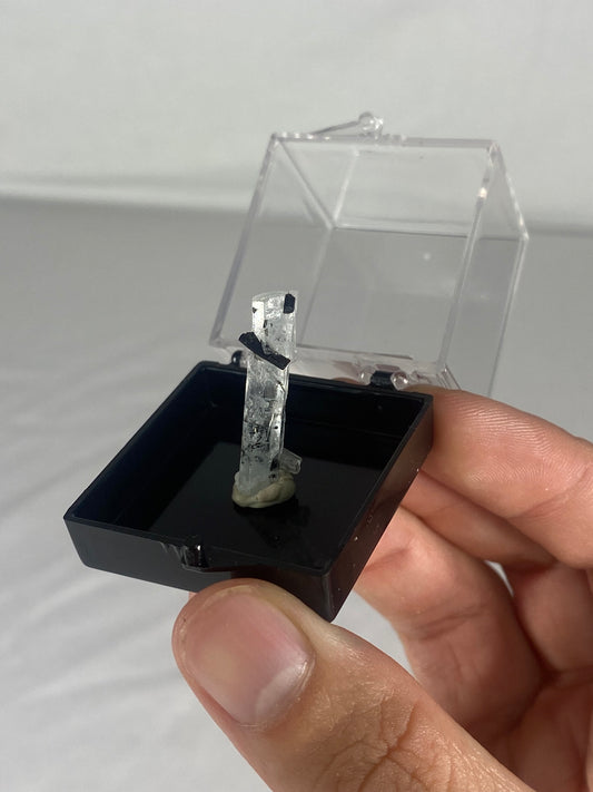 Pakistani Aquamarine Thumbnail Specimen (R)