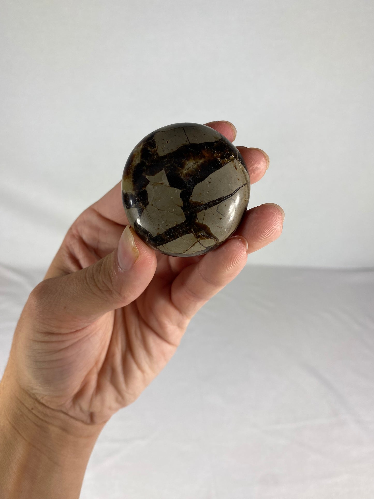 Madagascan Polished Septarian Palm Stone (H)