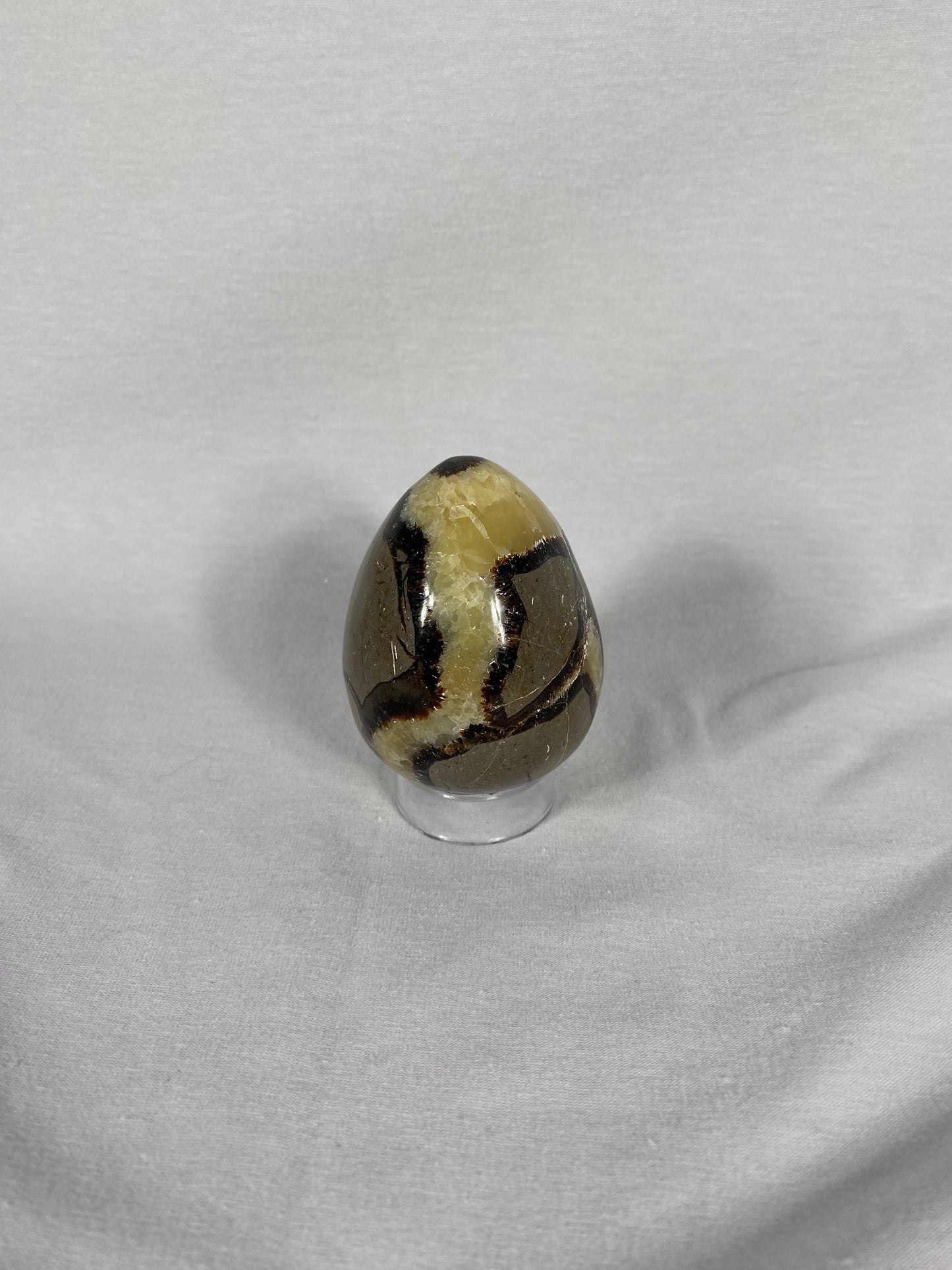 Madagascan Polished Septarian Egg (D)