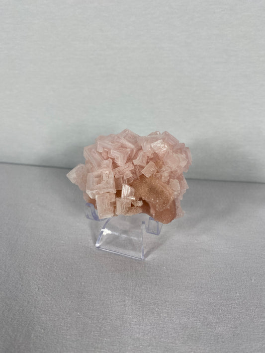 Californian Pink Halite Specimen (G)