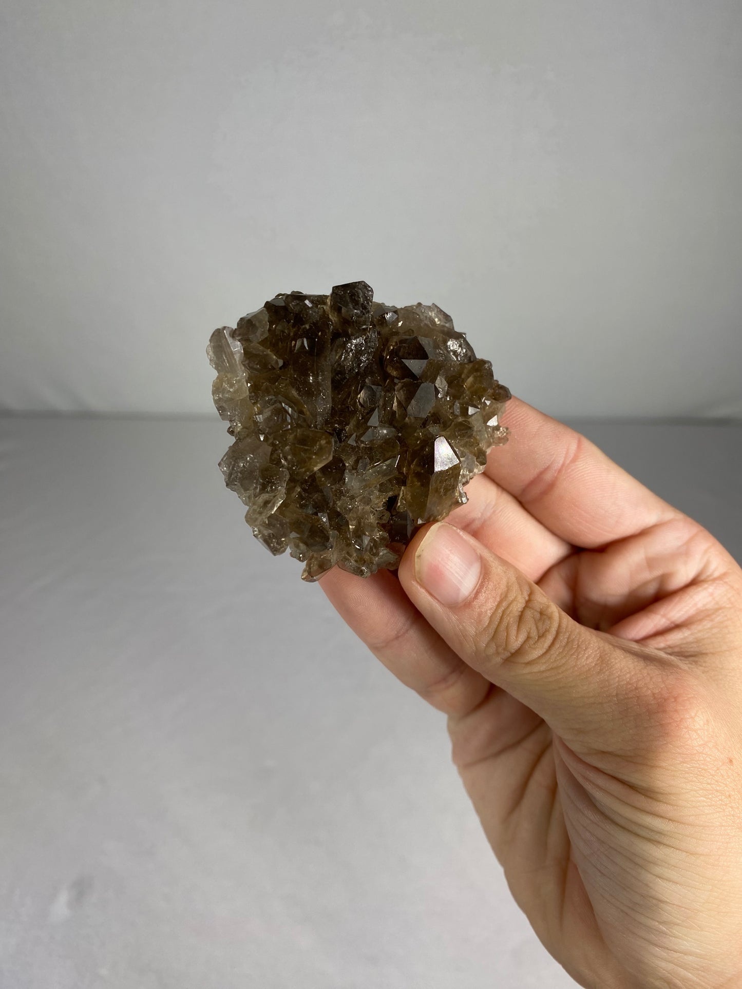 Brazilian Smokey Quartz Specimen (G)