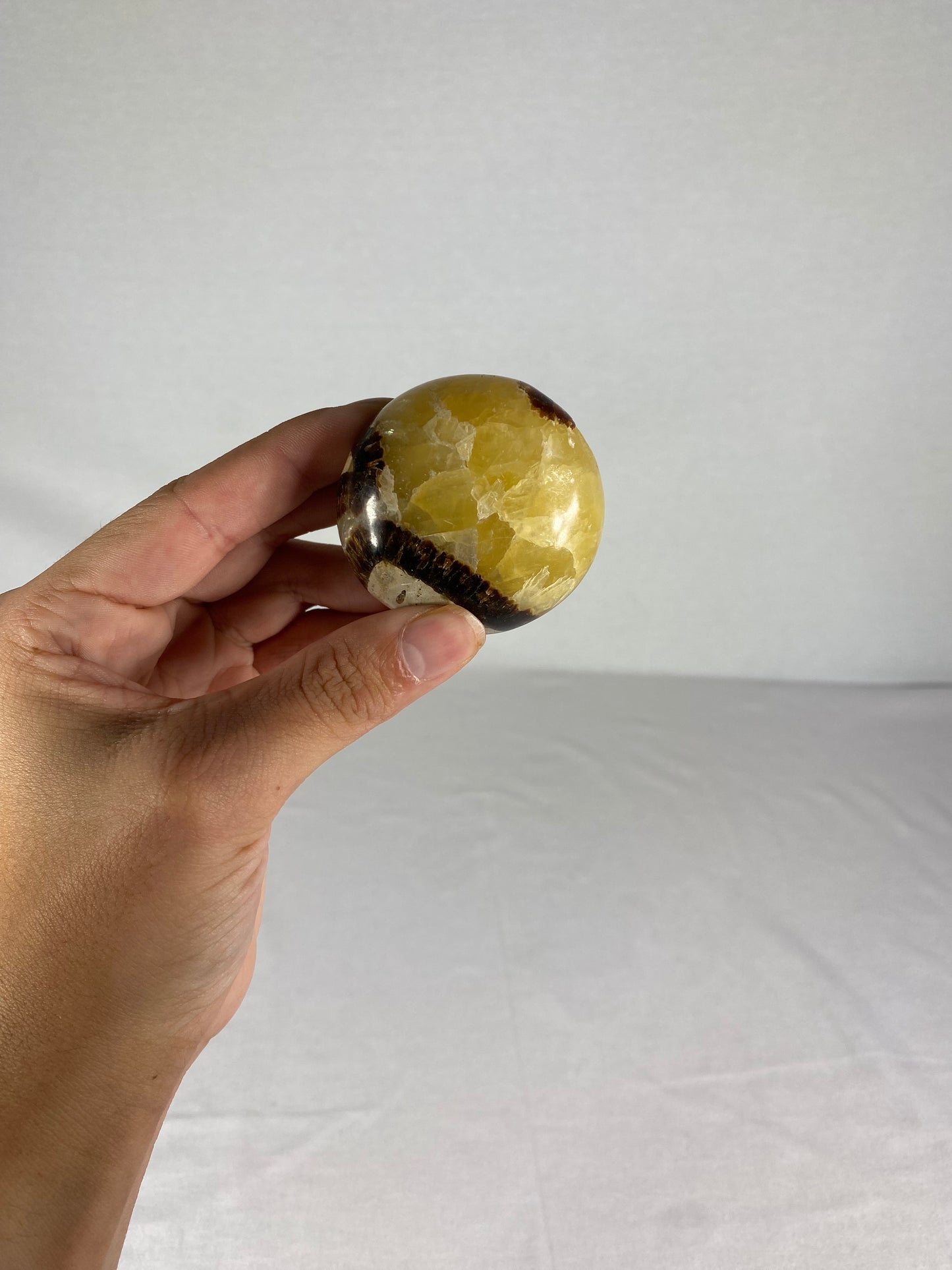 Madagascan Polished Septarian Palm Stone (D)