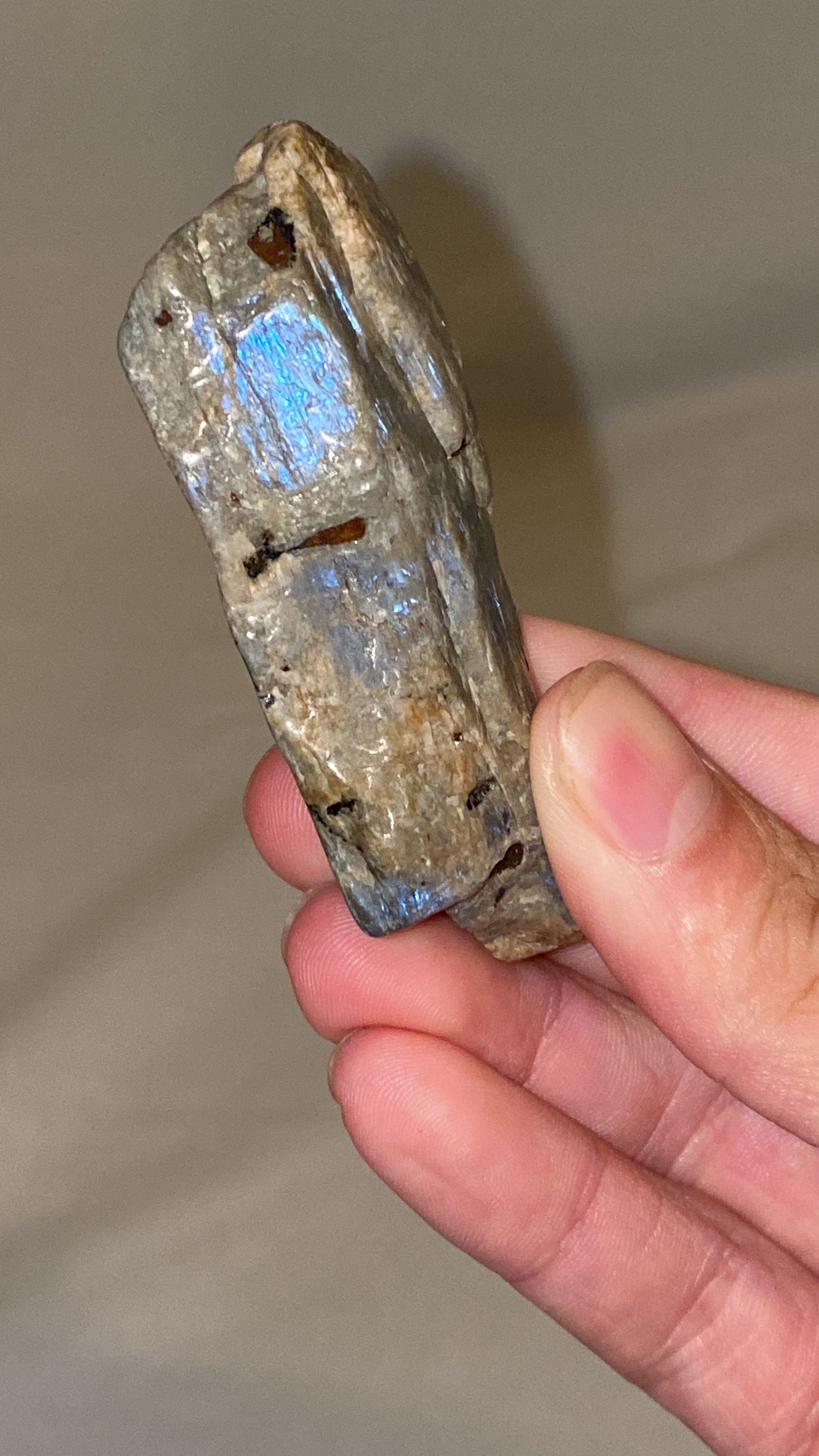 “Electric Blue” Wisconsin Moonstone Specimen (J)