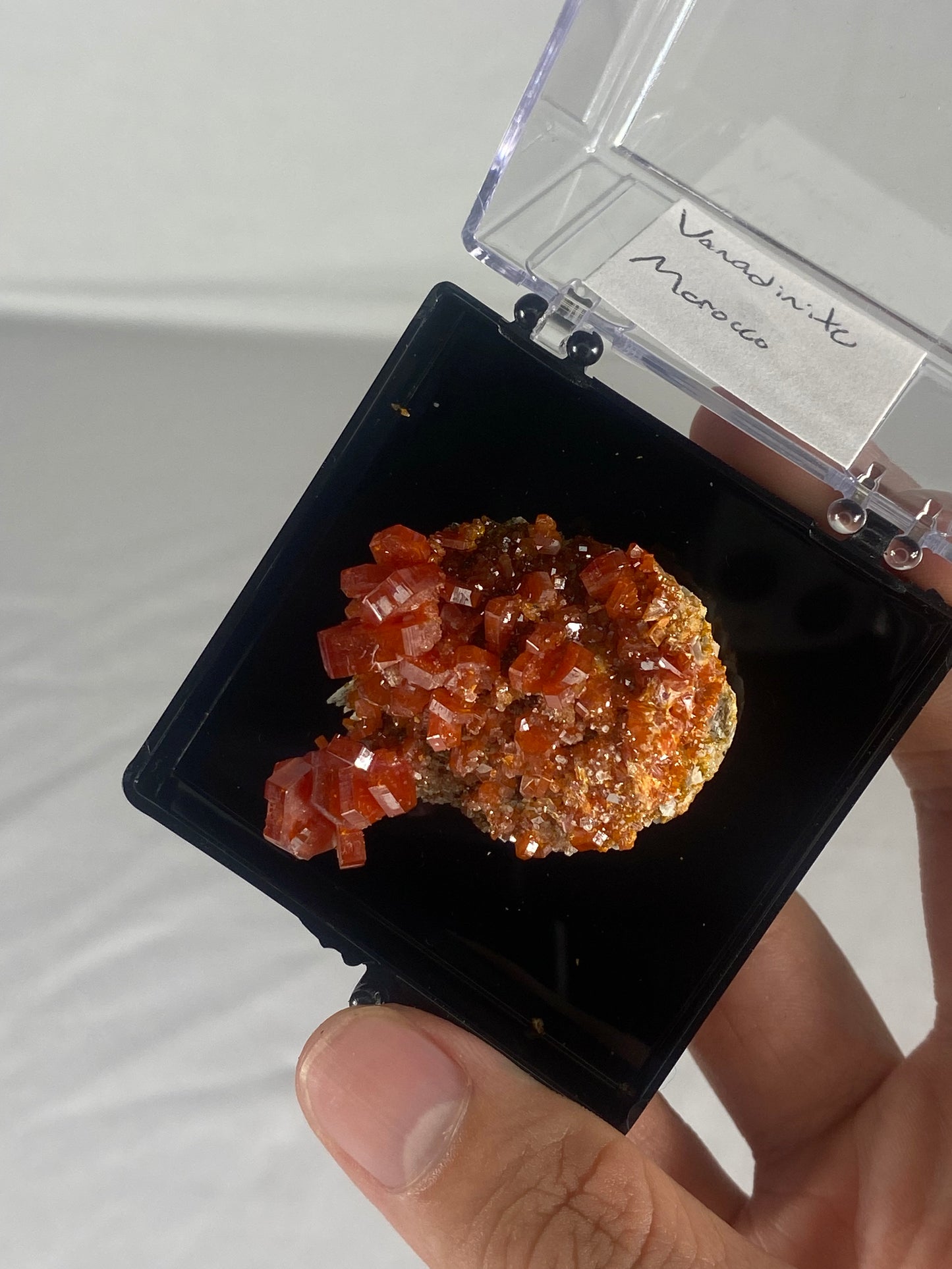 Moroccan Vanadinite Thumbnail Specimen (Medium G)
