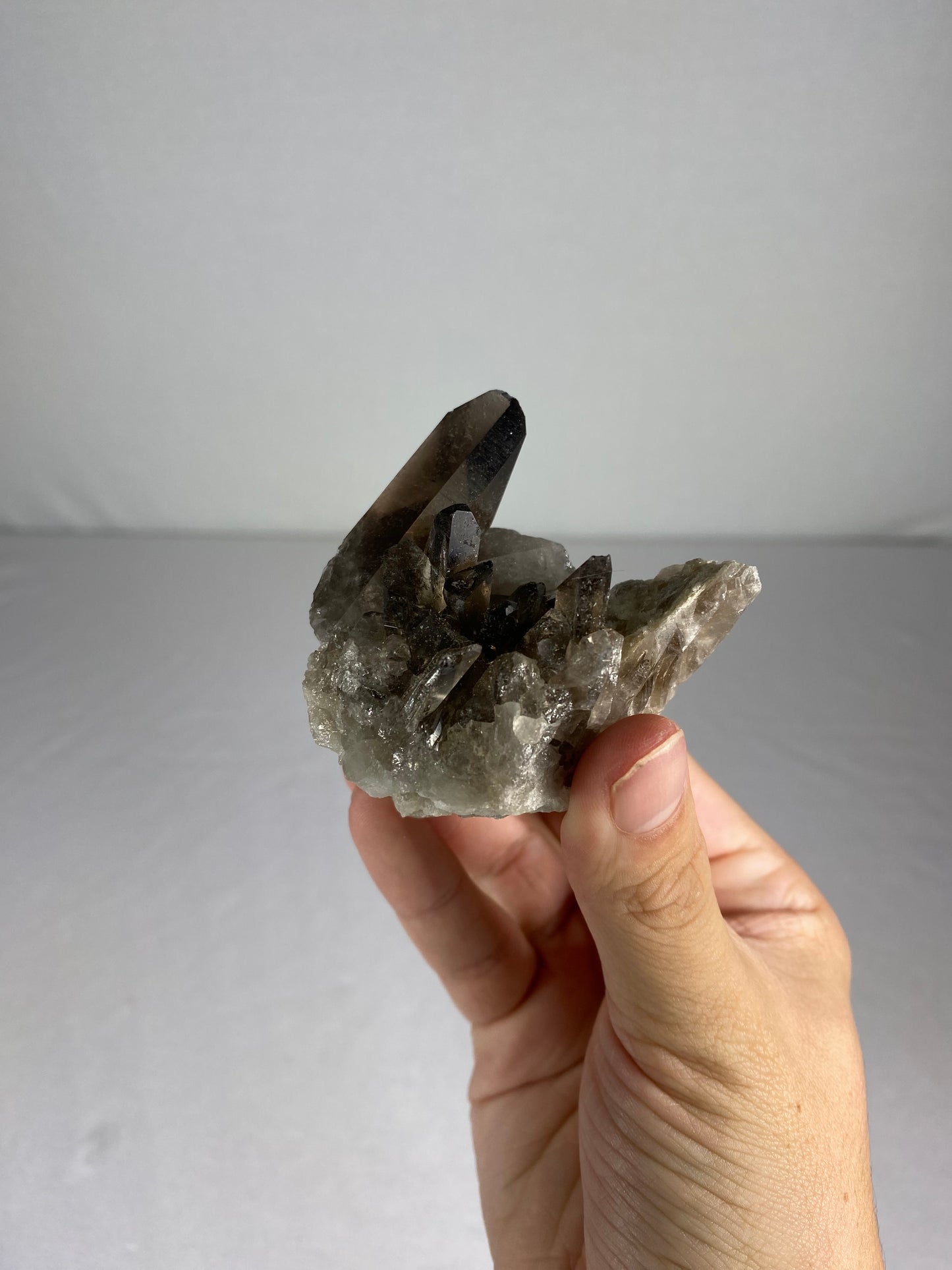 Brazilian Smokey Quartz Specimen (F)
