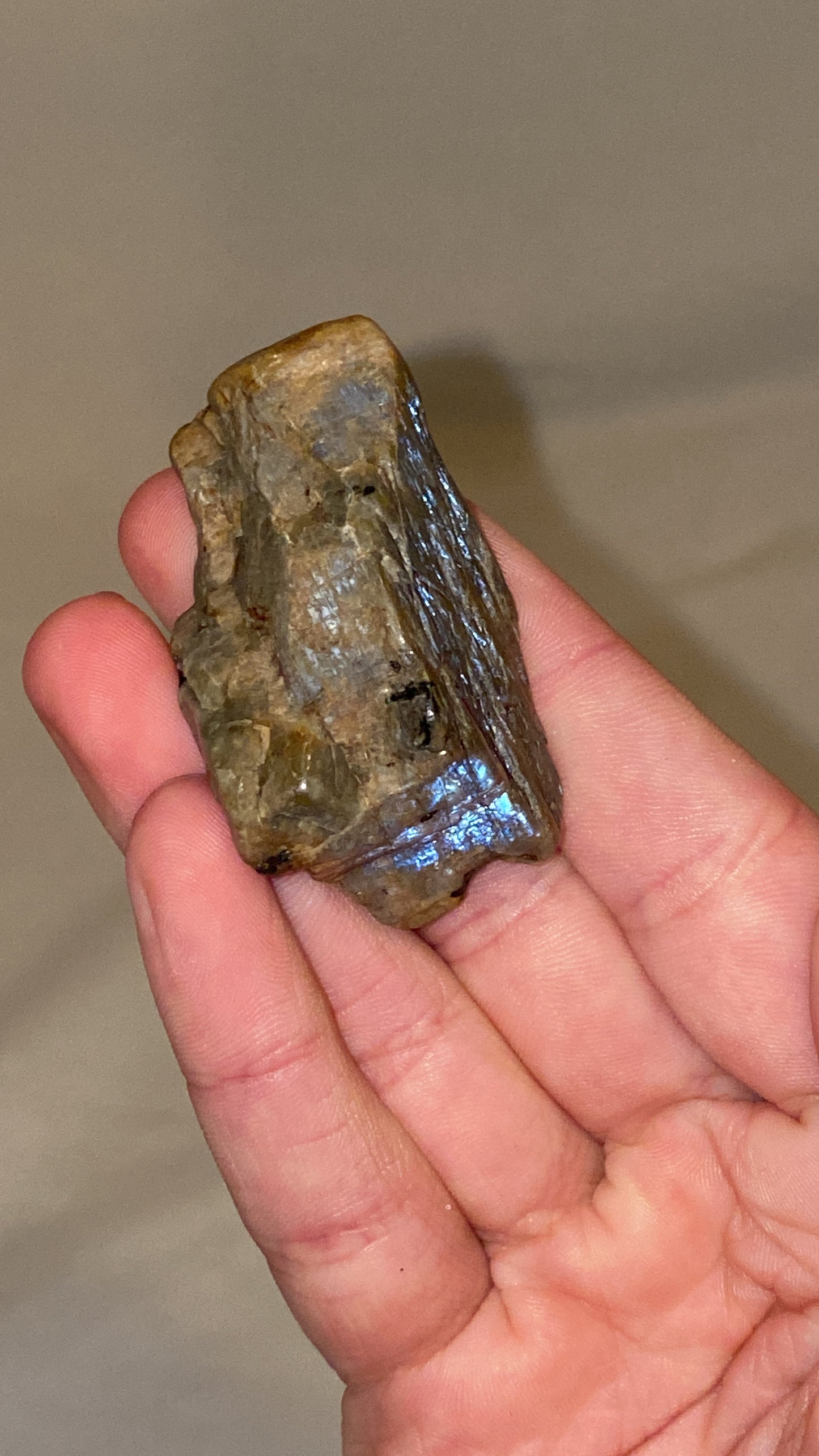 “Electric Blue” Wisconsin Moonstone Specimen (K)