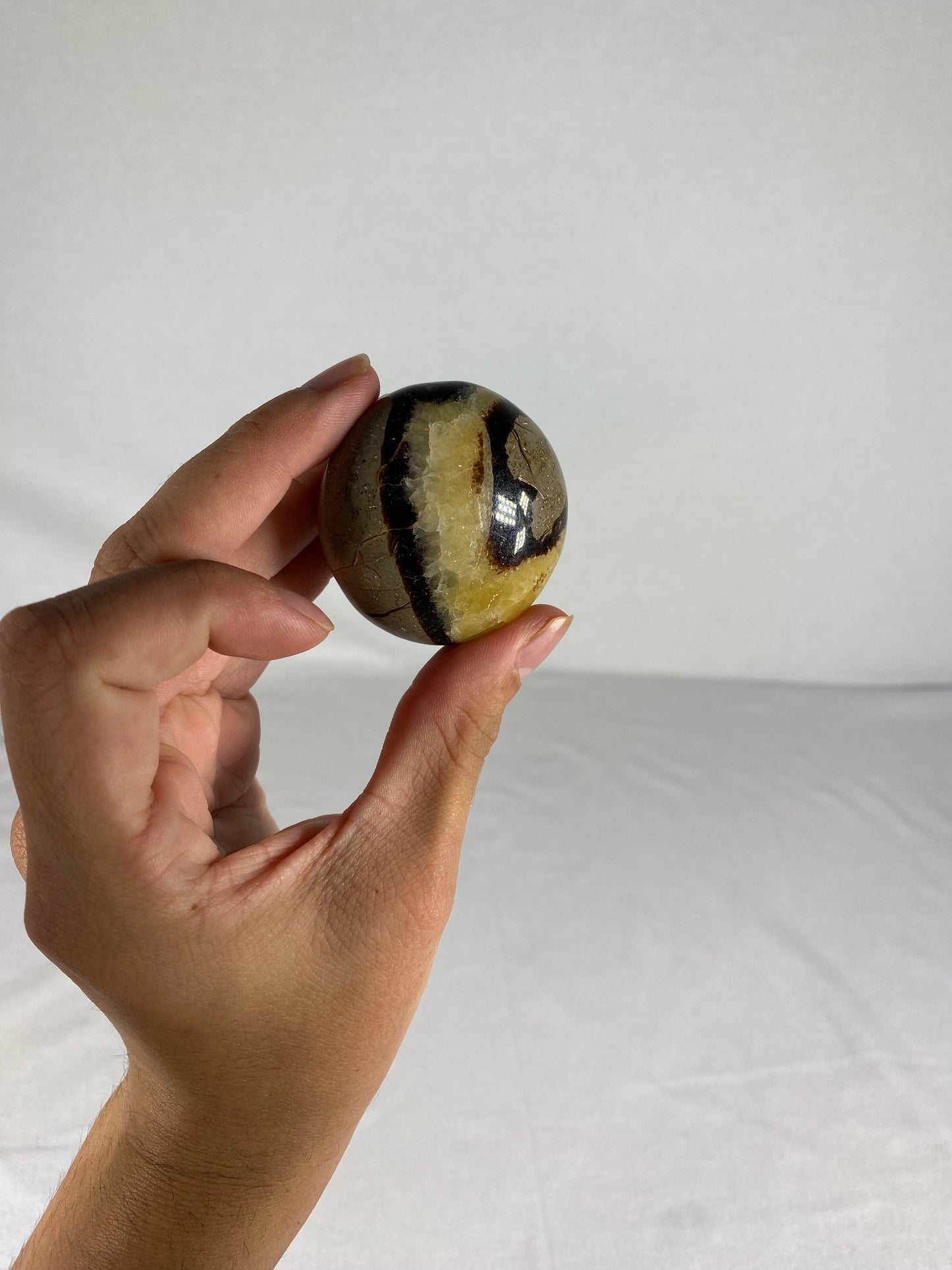 Madagascan Polished Septarian Palm Stone (B)