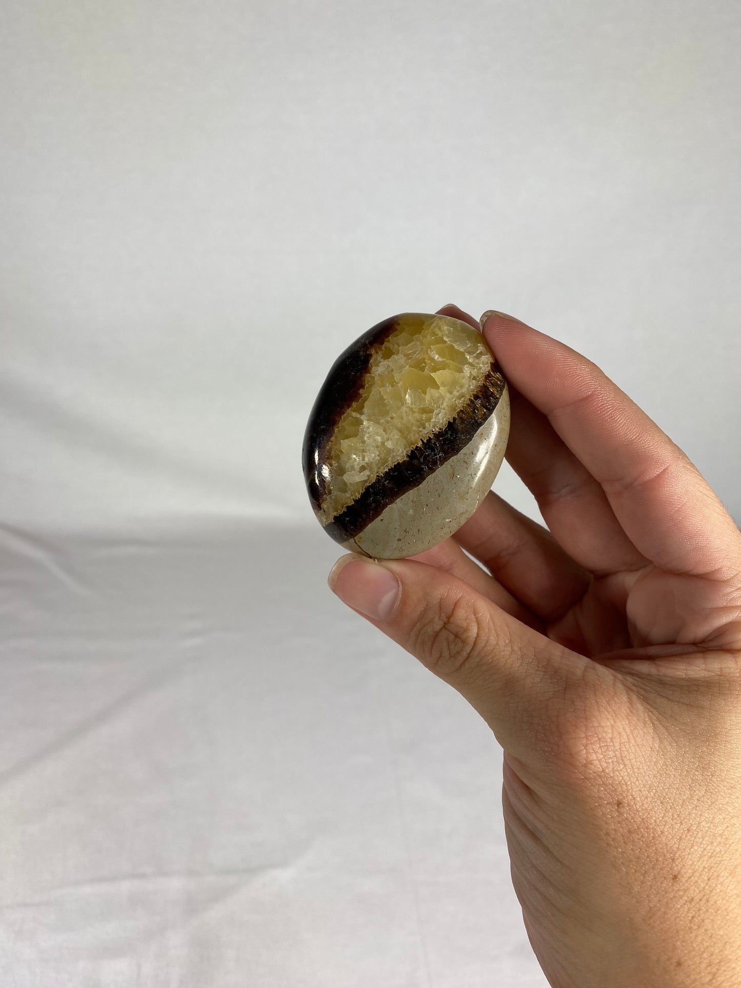Madagascan Polished Septarian Palm Stone (K)