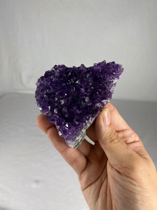 Brazilian Amethyst Specimen (X)
