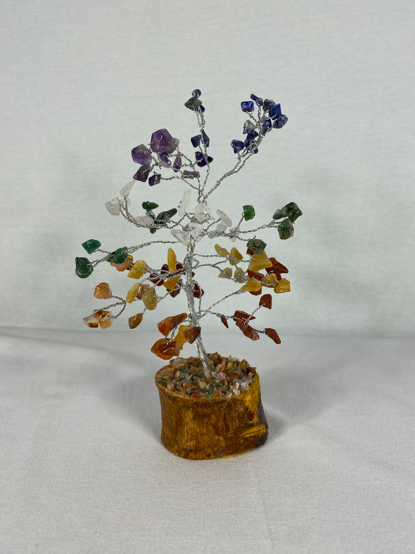 Indian Chakra Tree (MYSTERY)