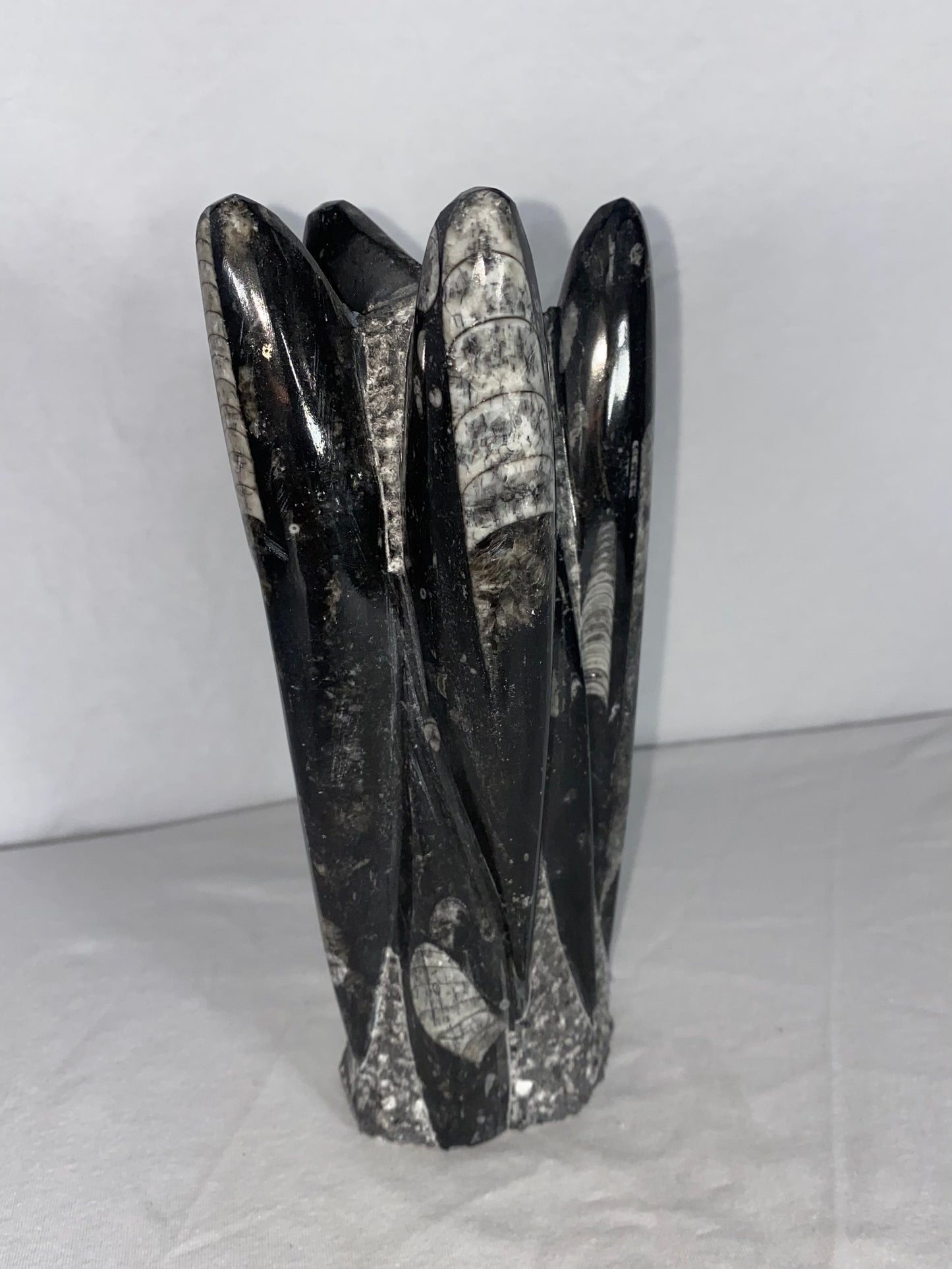 Self Standing Polished Fossilized Orthoceras Specimen (Medium G)