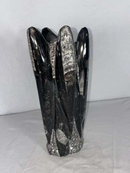 Self Standing Polished Fossilized Orthoceras Specimen (Medium G)
