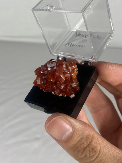 Moroccan Vanadinite Thumbnail Specimen (Small J)