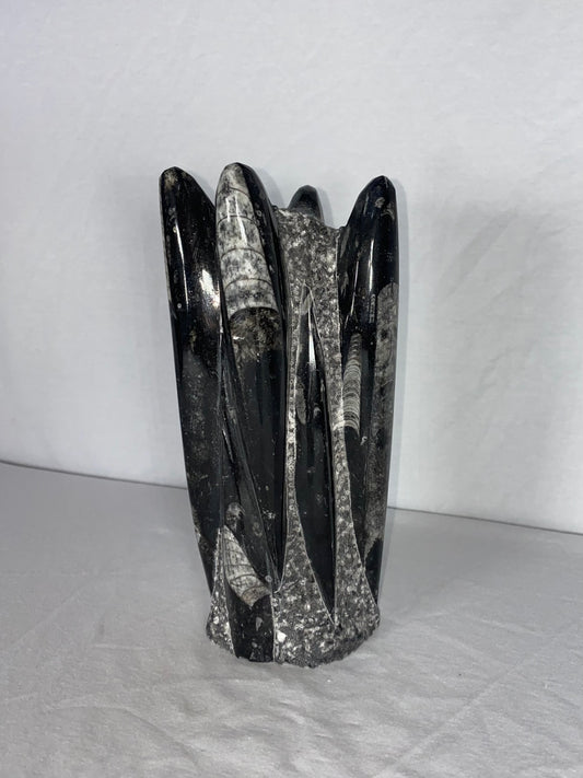 Self Standing Polished Fossilized Orthoceras Specimen (Medium G)